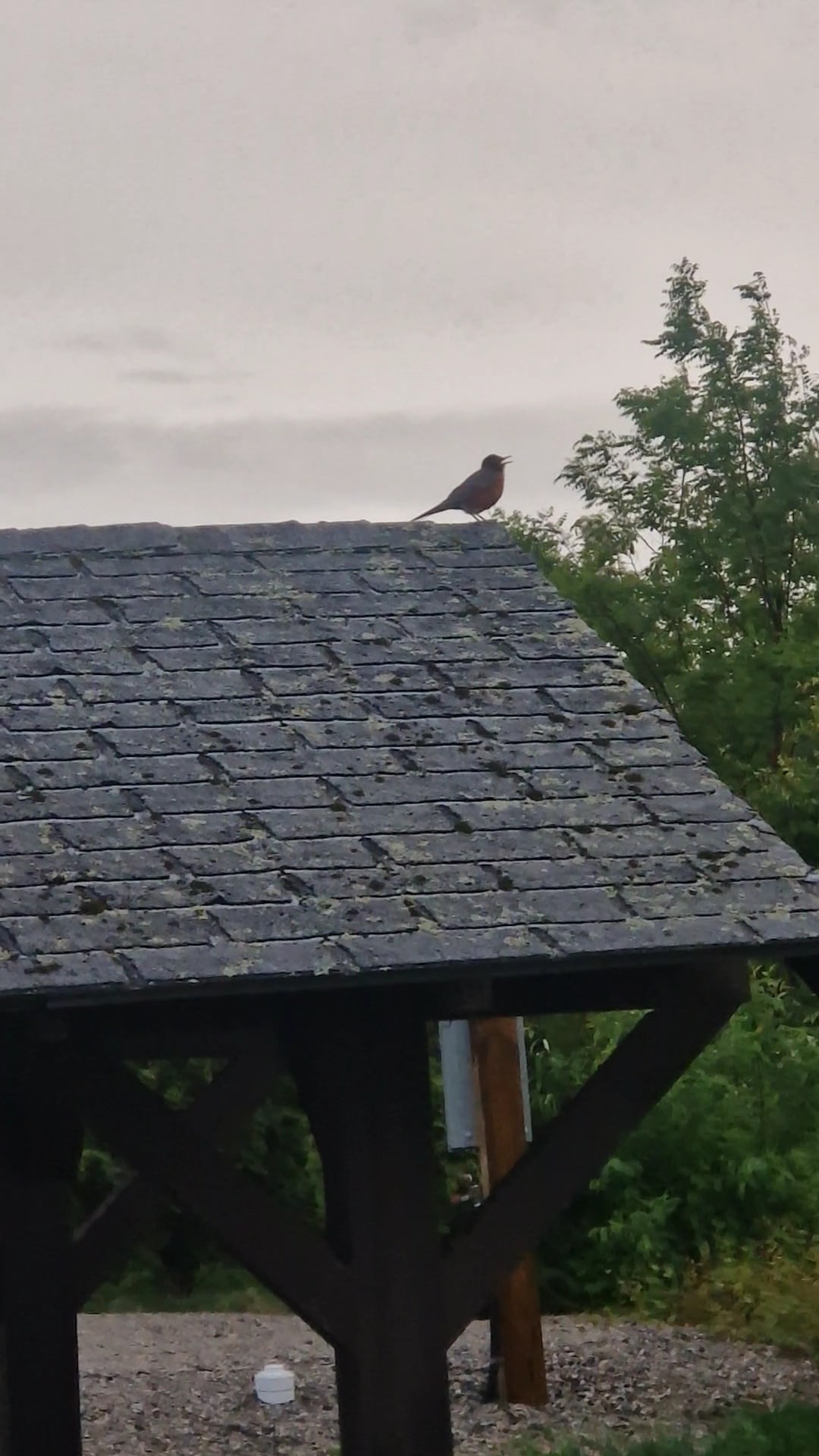 Chewonki Campground - Wiscasset, ME