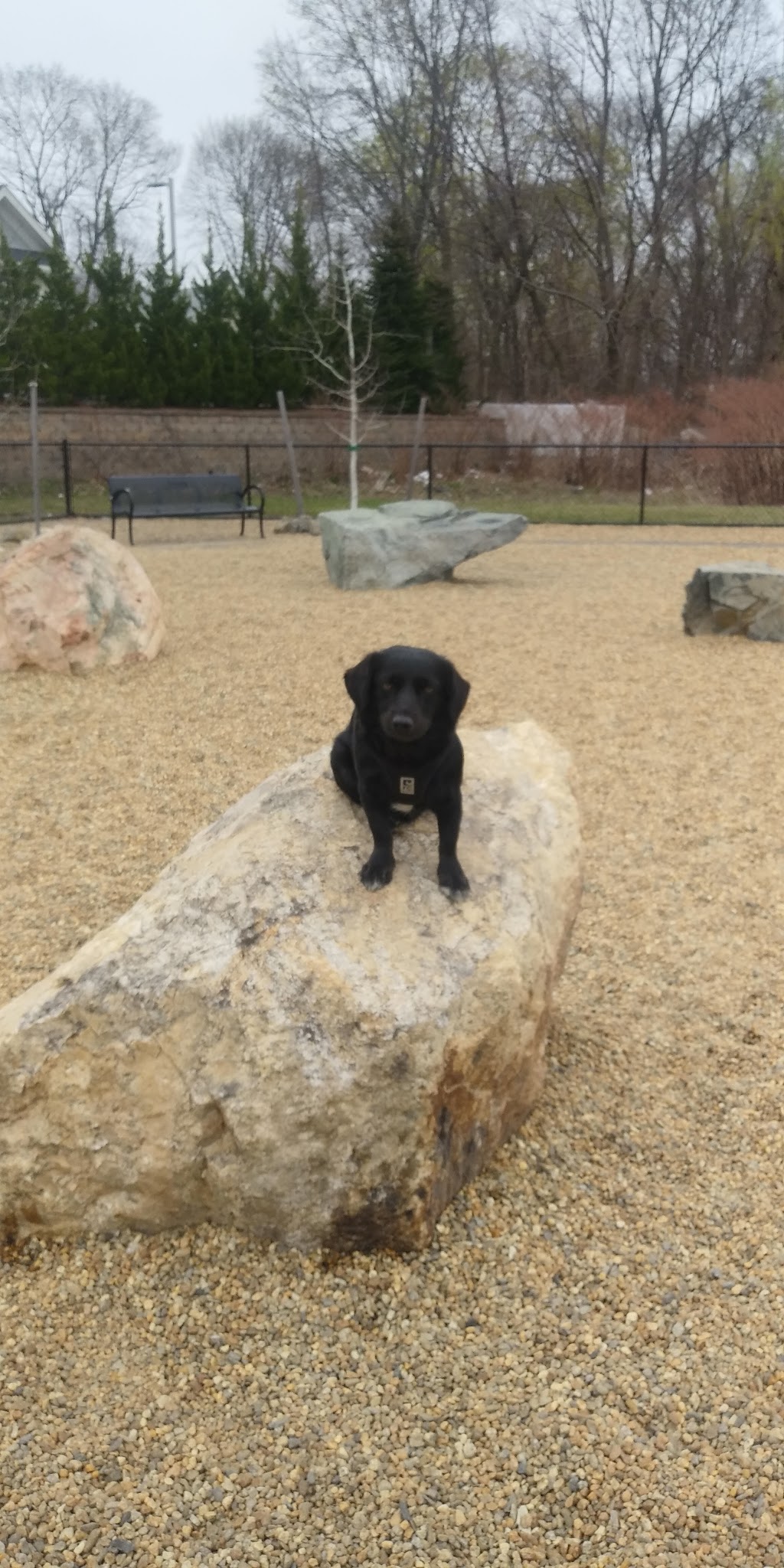 Woburn Dog Park - Woburn, MA