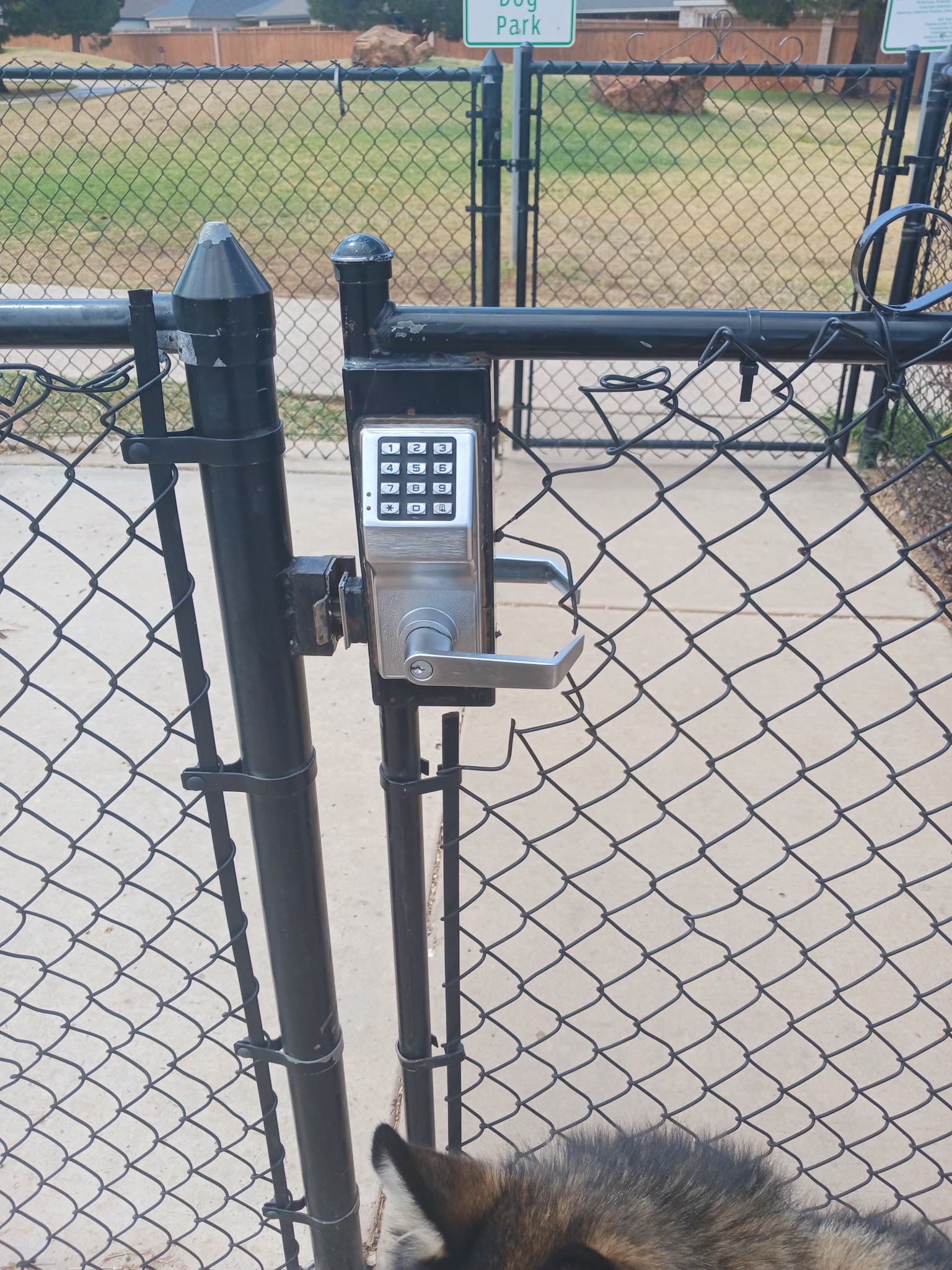 Preston Manor Private Dog Park - Wolfforth, TX