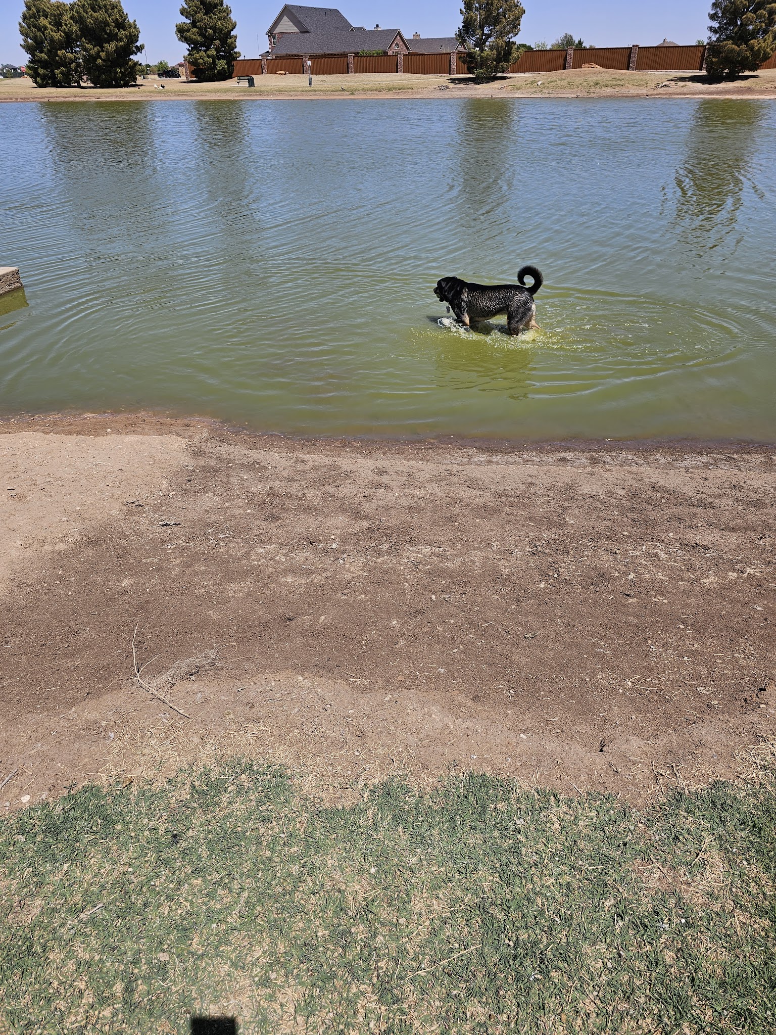 Preston Manor Private Dog Park - Wolfforth, TX