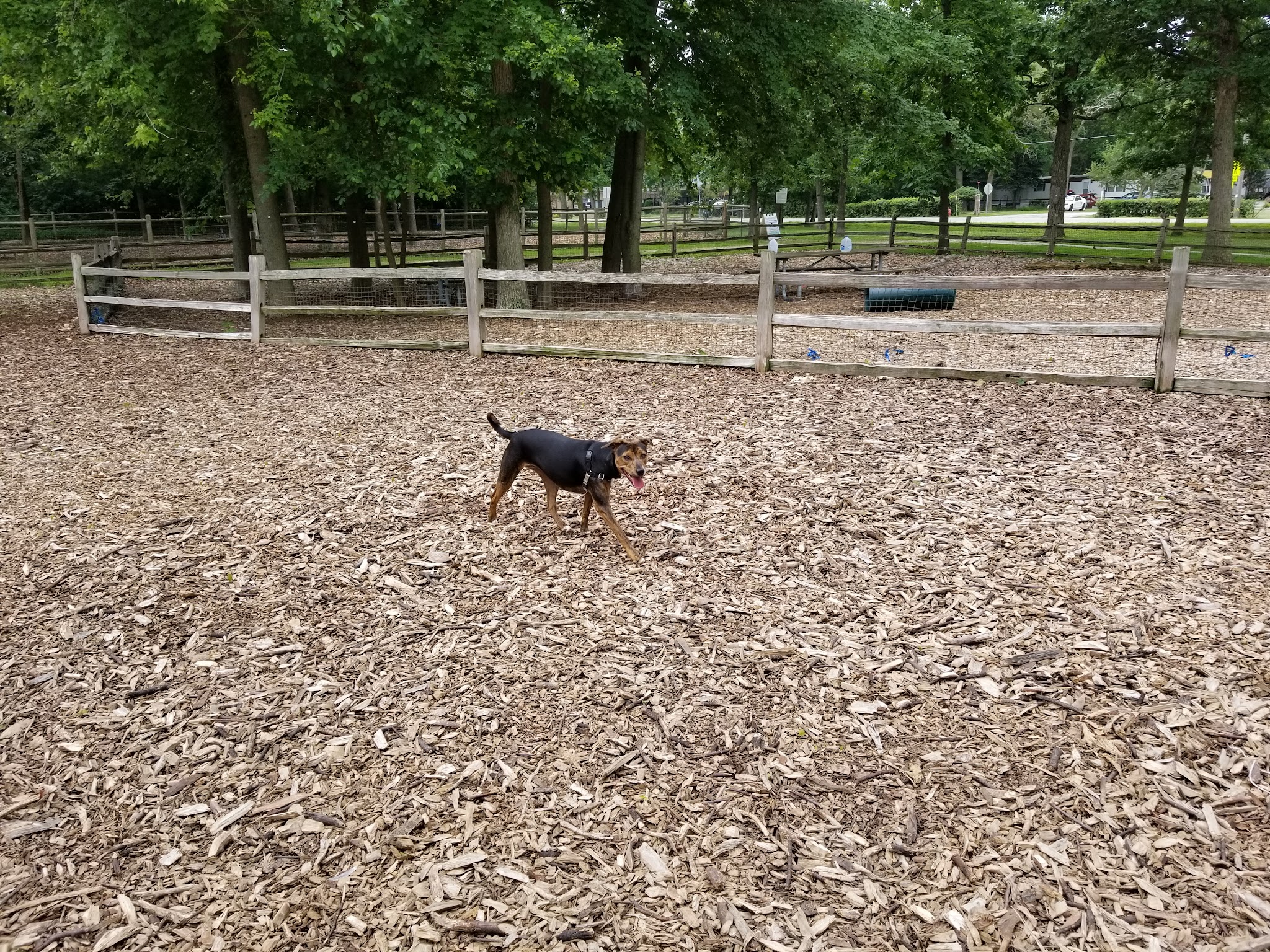 The Woodlands at White Oaks Park - Wood Dale, IL