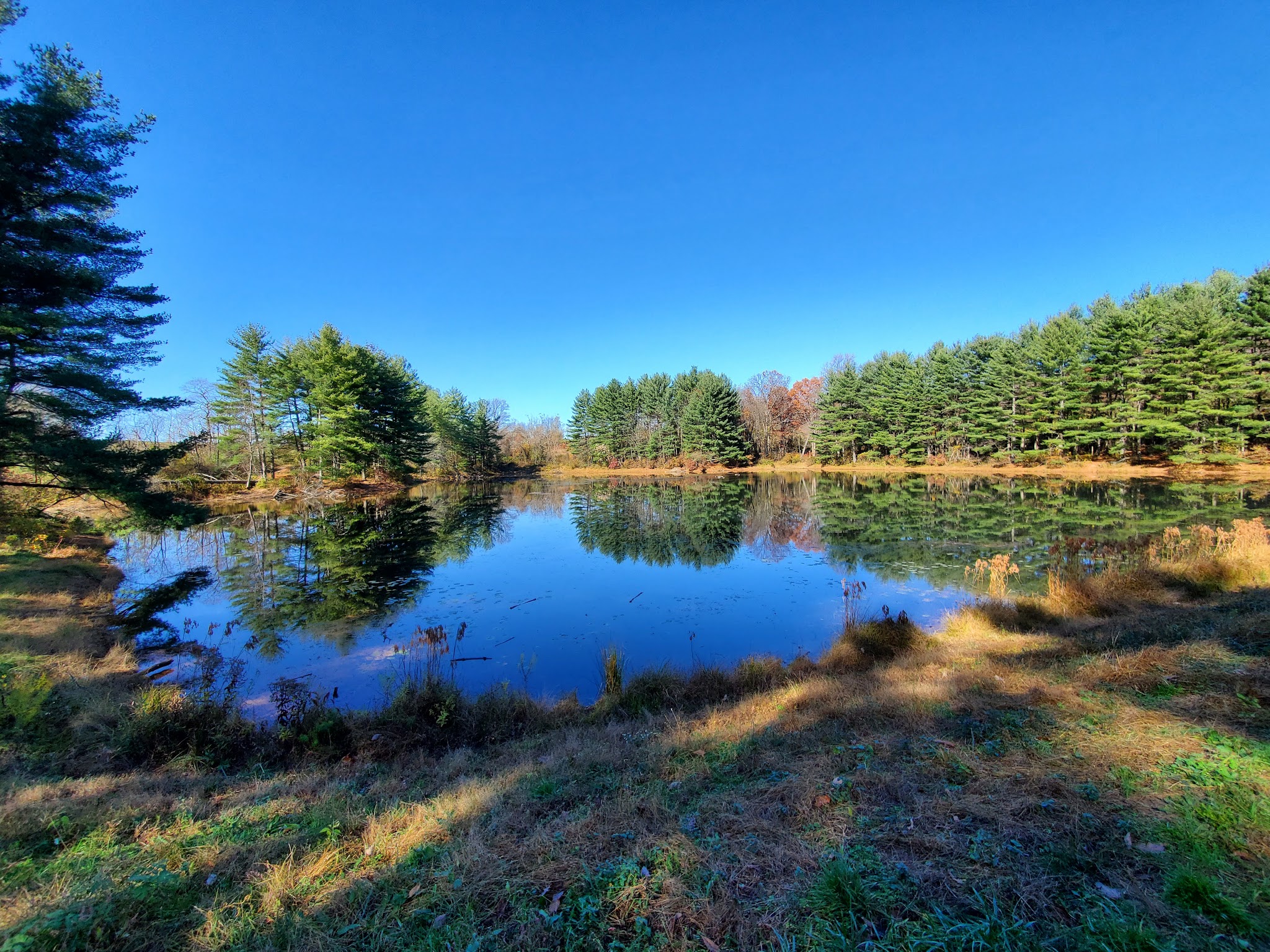 Krimgold Park - Woodbine, MD