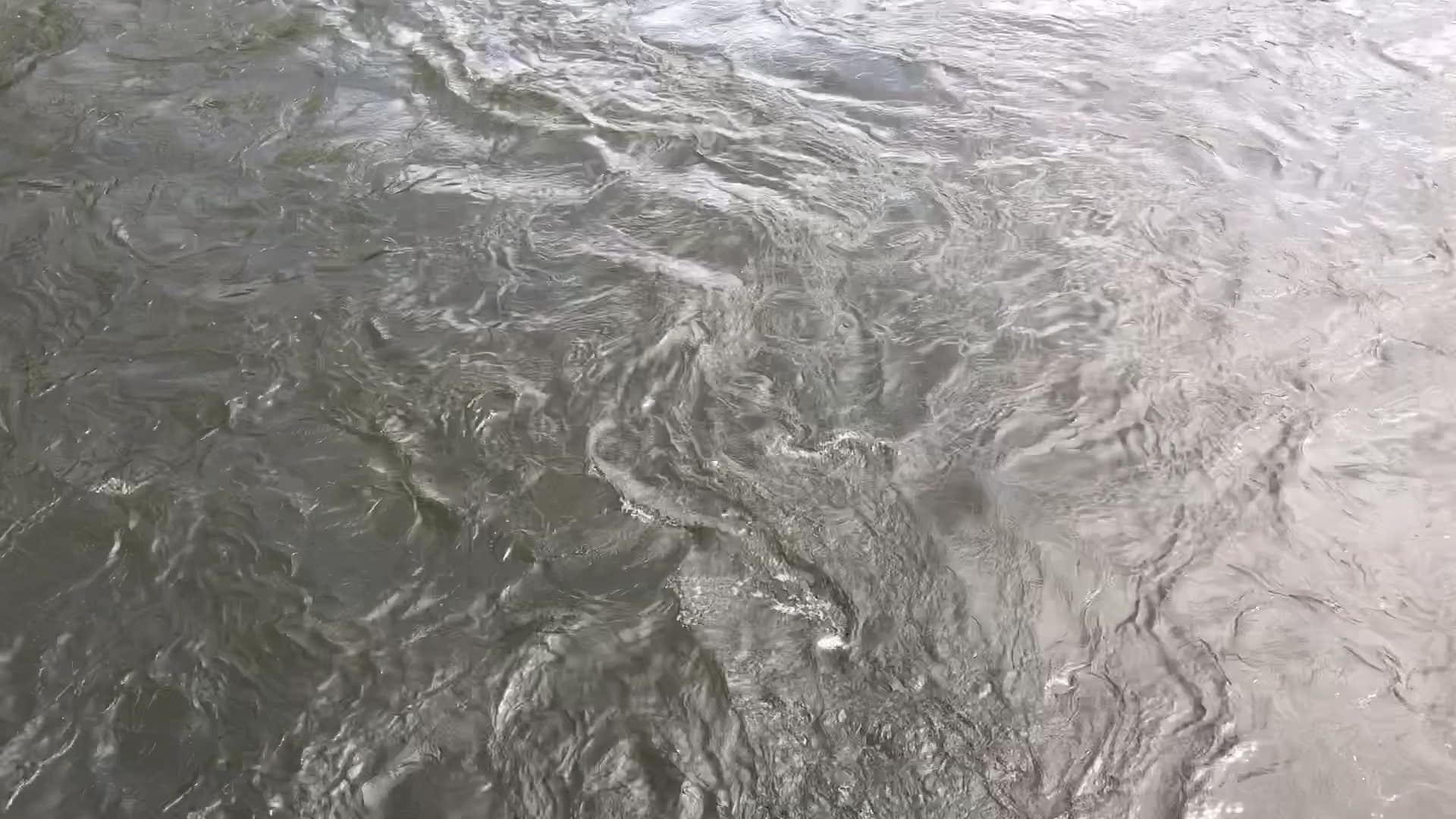 Marie's Park - Woodbourne, NY