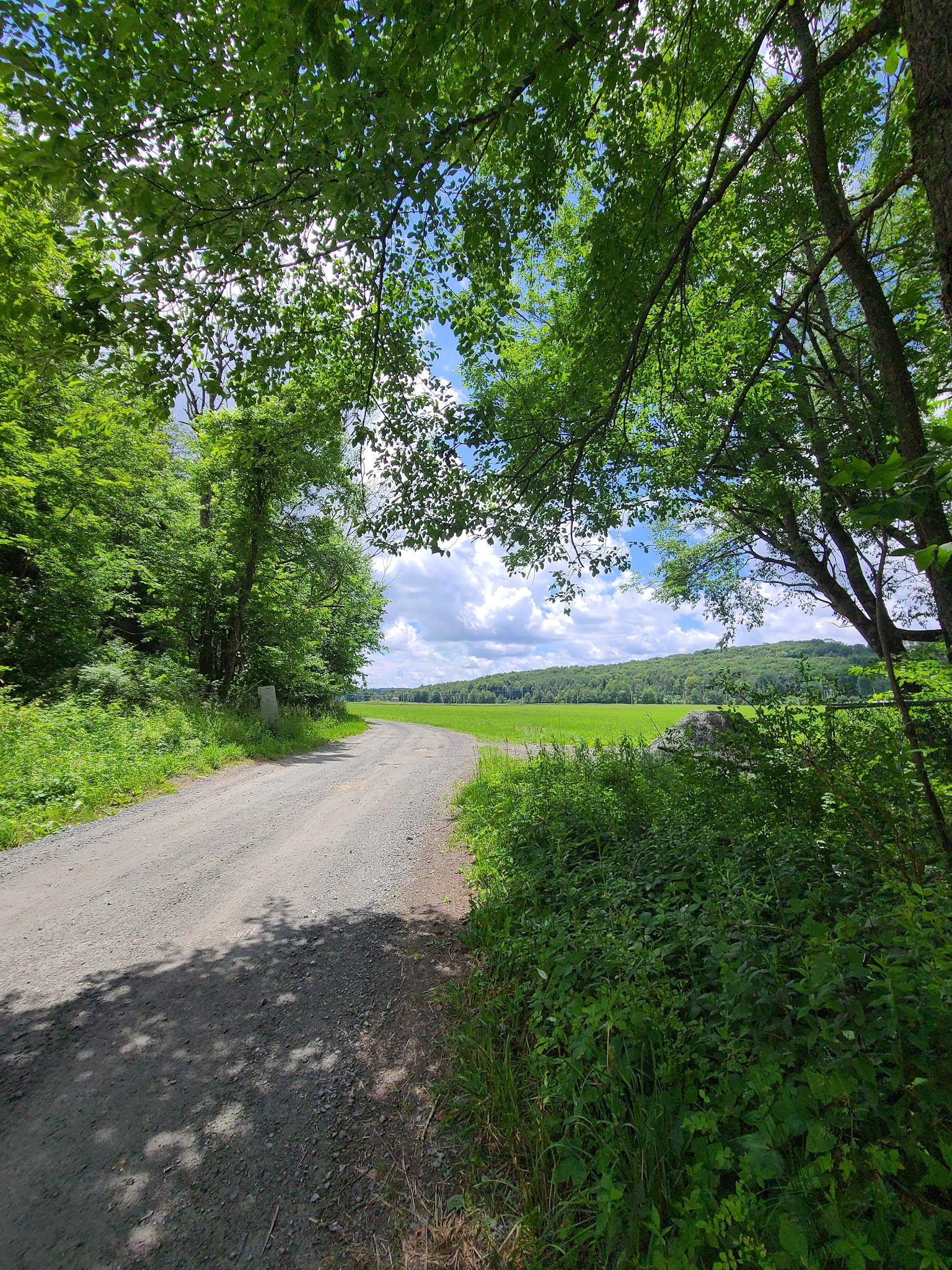 Marie's Park - Woodbourne, NY