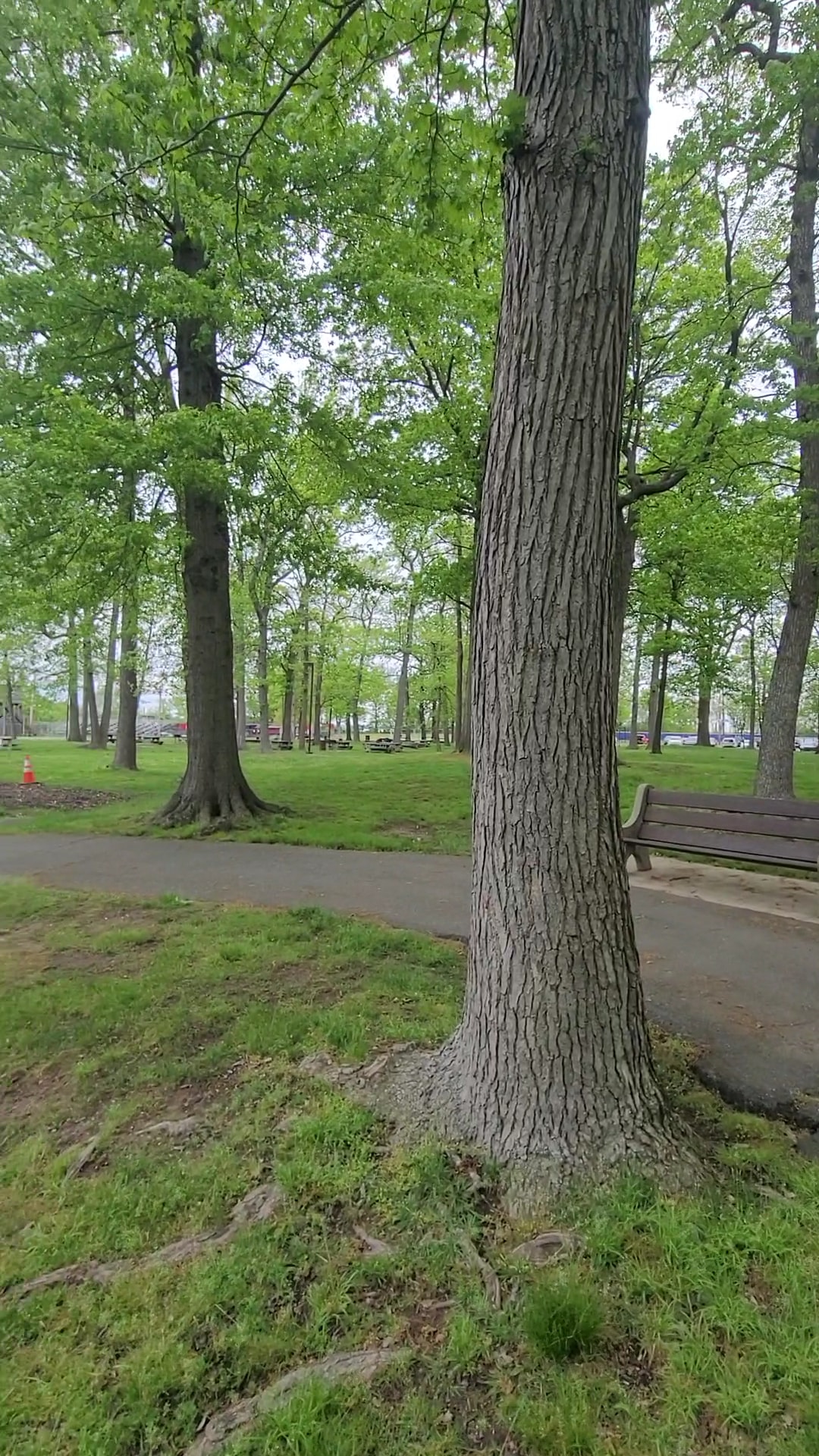 Fords Park - Woodbridge, NJ