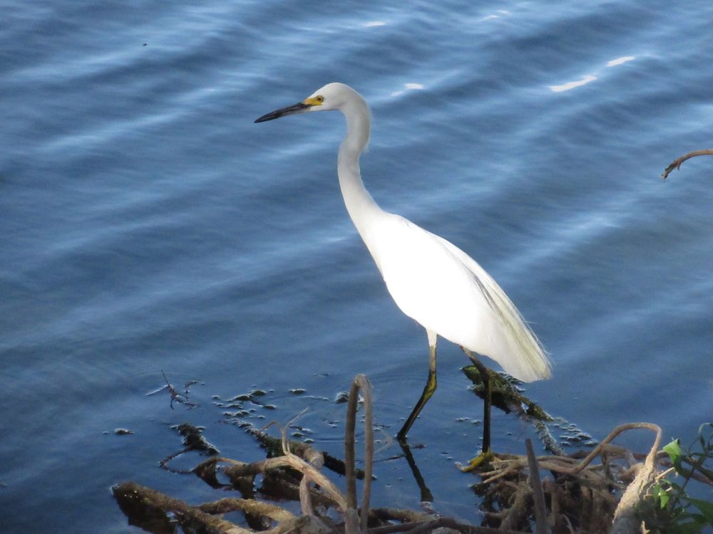 Heards Brook Park - Woodbridge, NJ