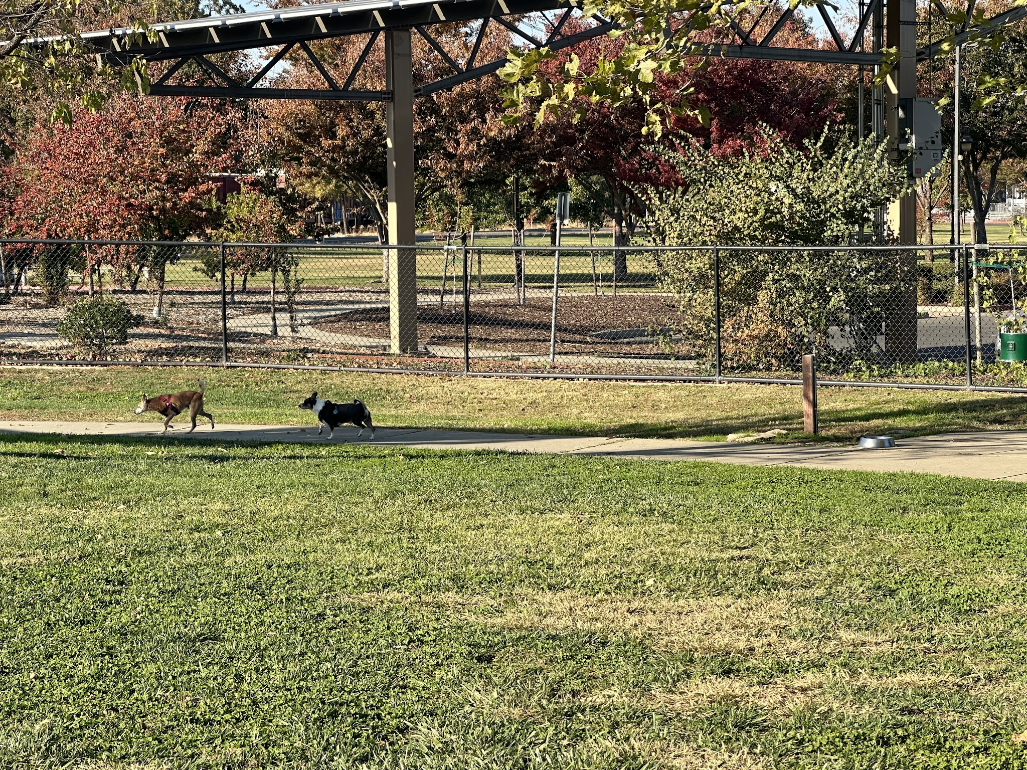 Woodland Off Leash Dog Park - Woodland, CA