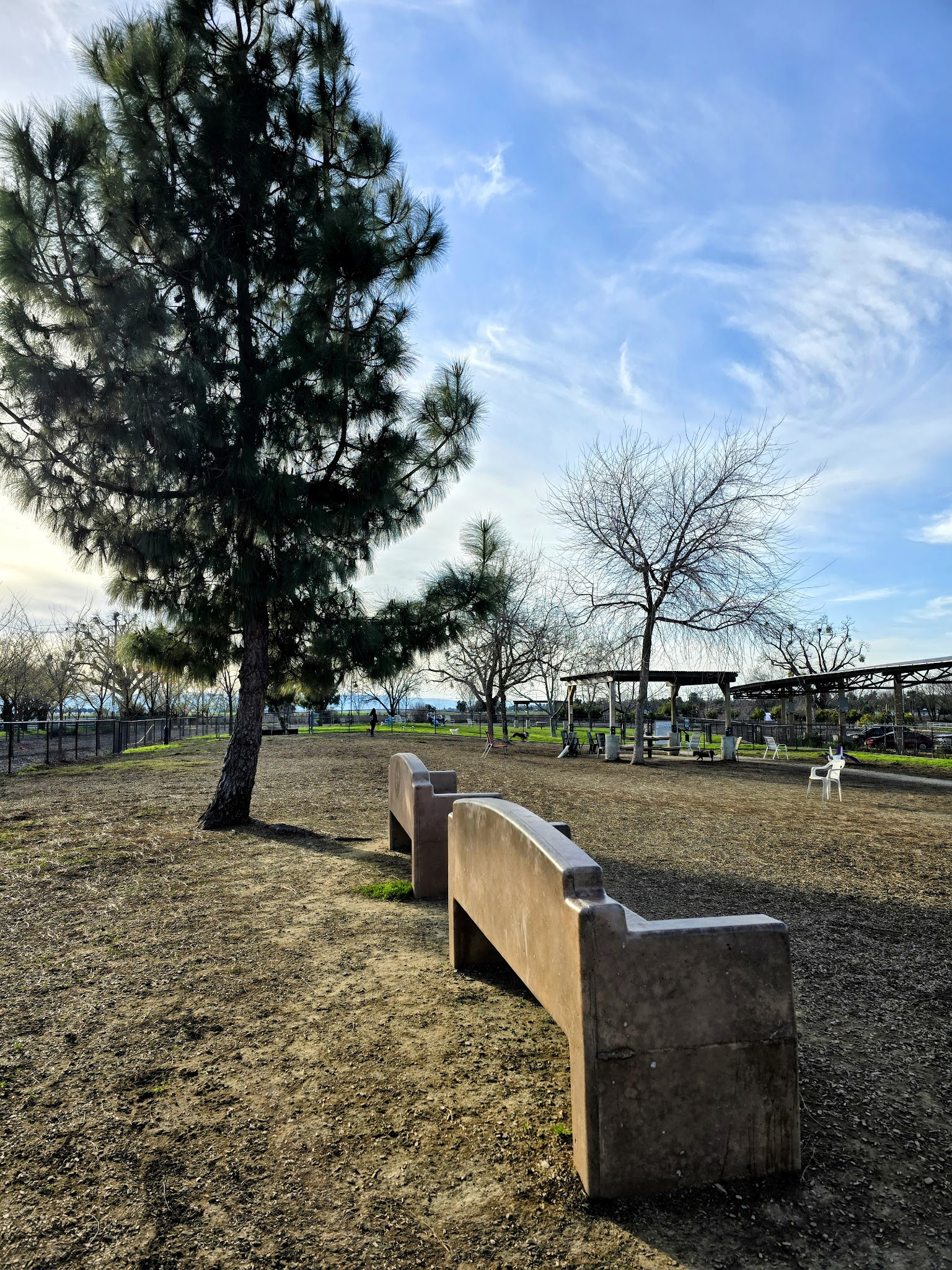 Woodland Off Leash Dog Park - Woodland, CA