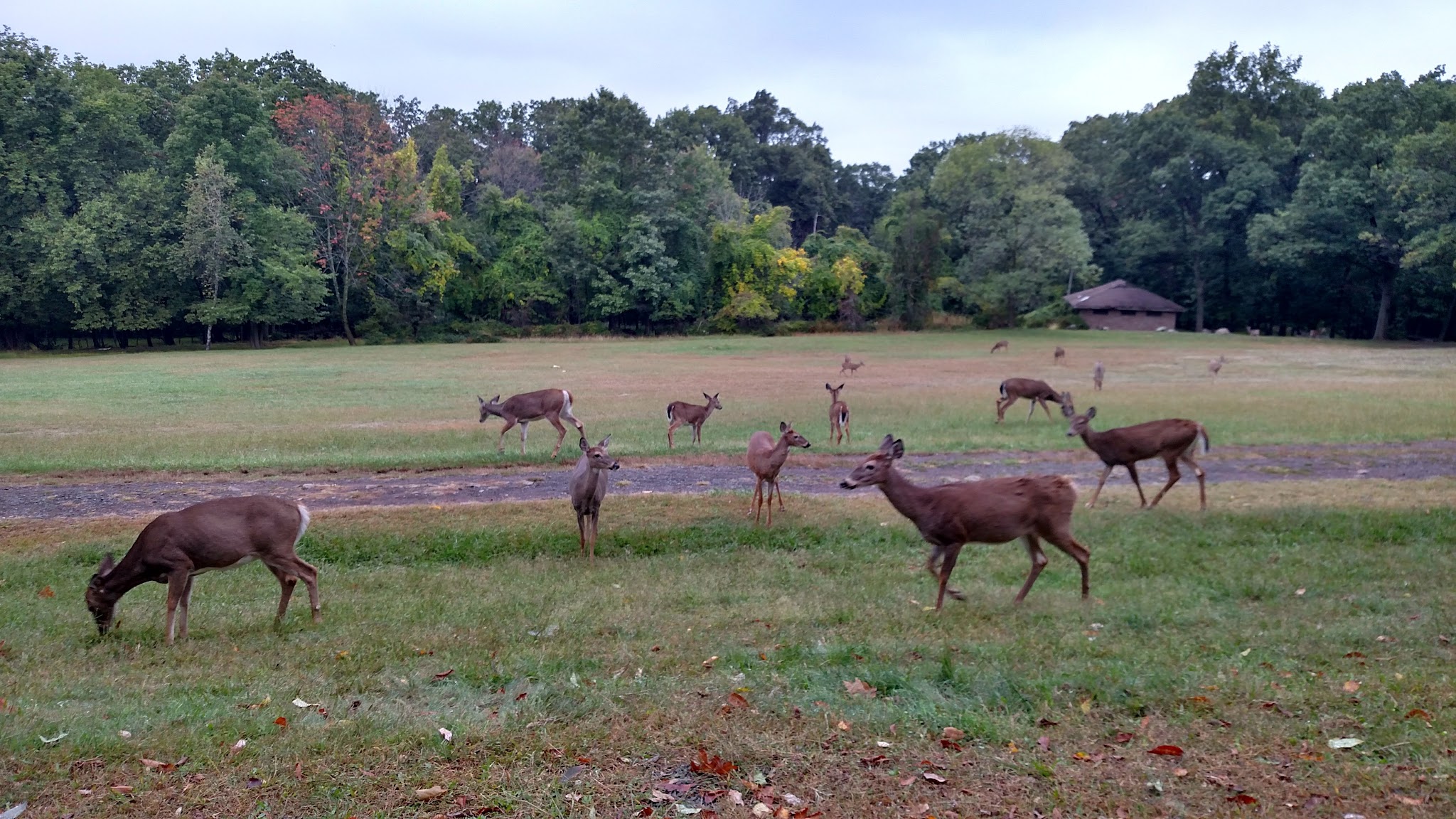 Garret Mountain Reservation - Woodland Park, NJ