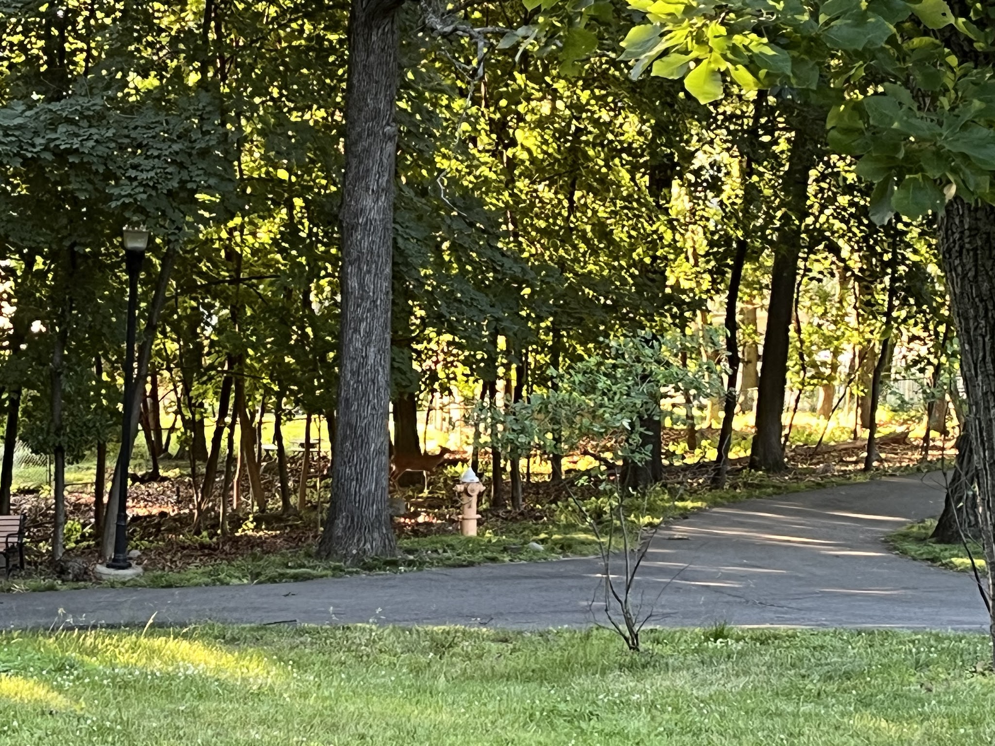 Rose Place Park - Woodland Park, NJ