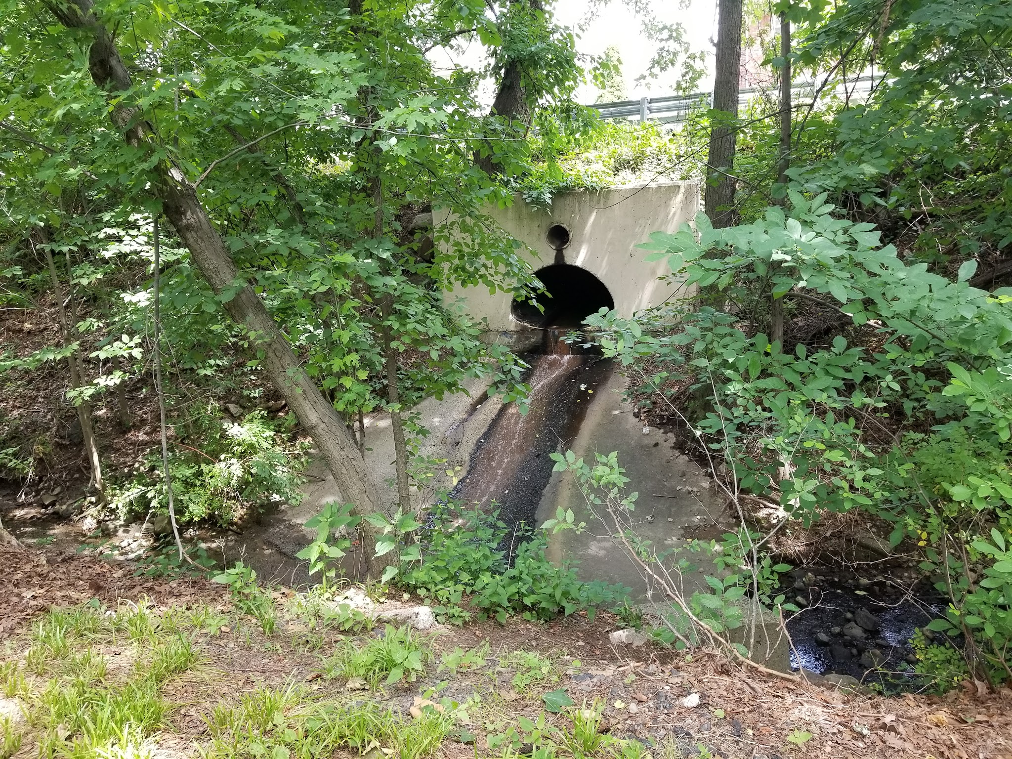Thomas E May Memorial Park - Woodland Park, NJ