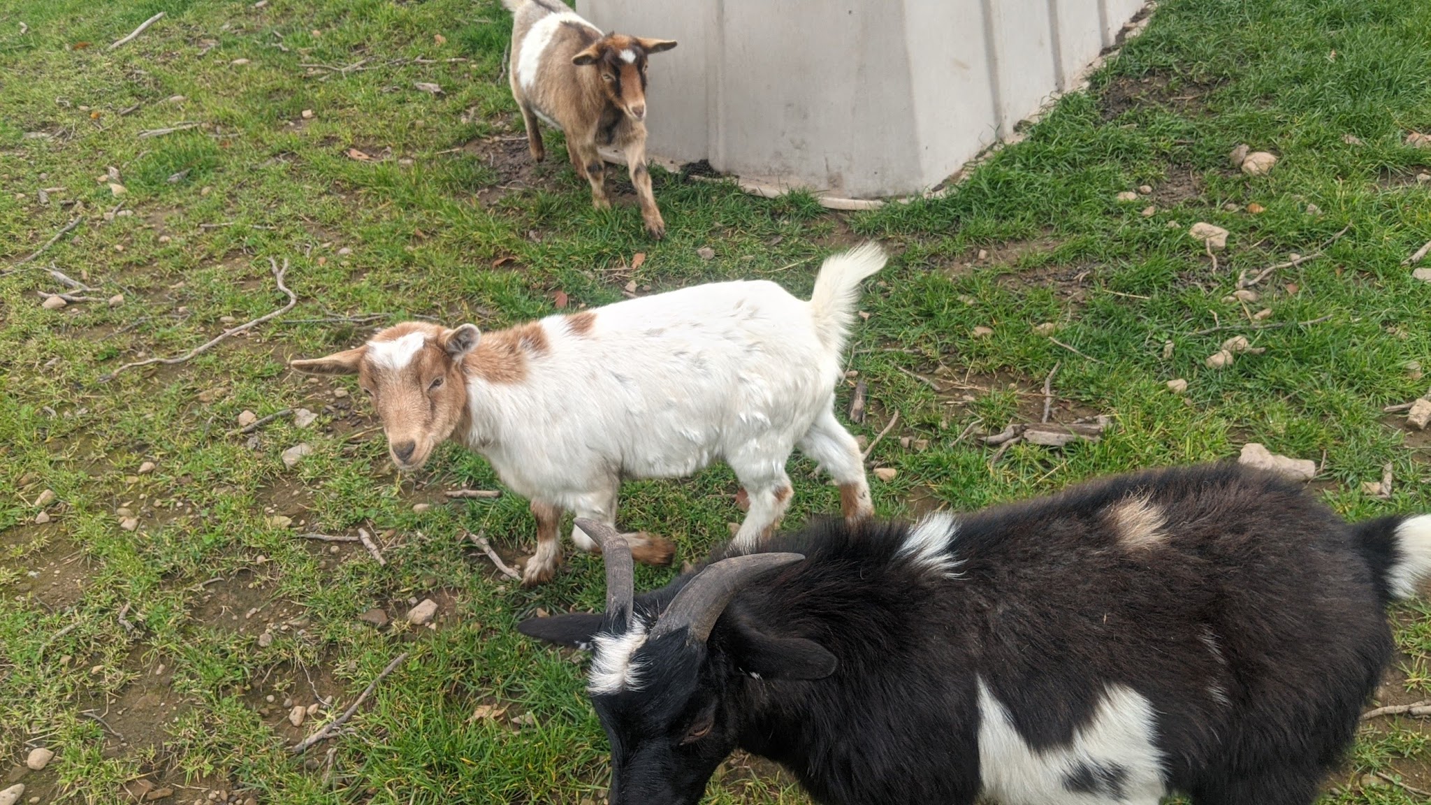 The Weinberg park - Woodridge, NY