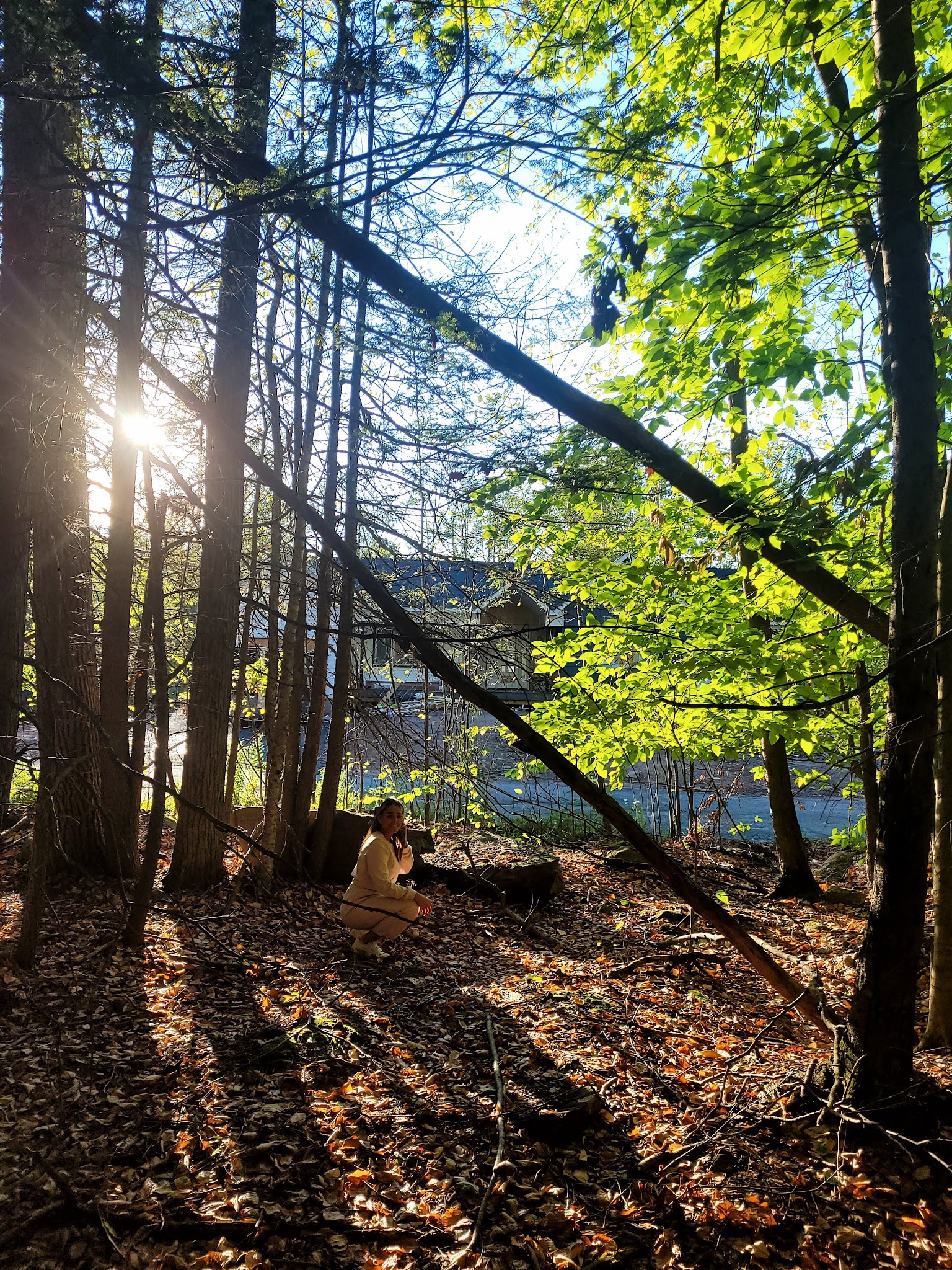 The Weinberg park - Woodridge, NY