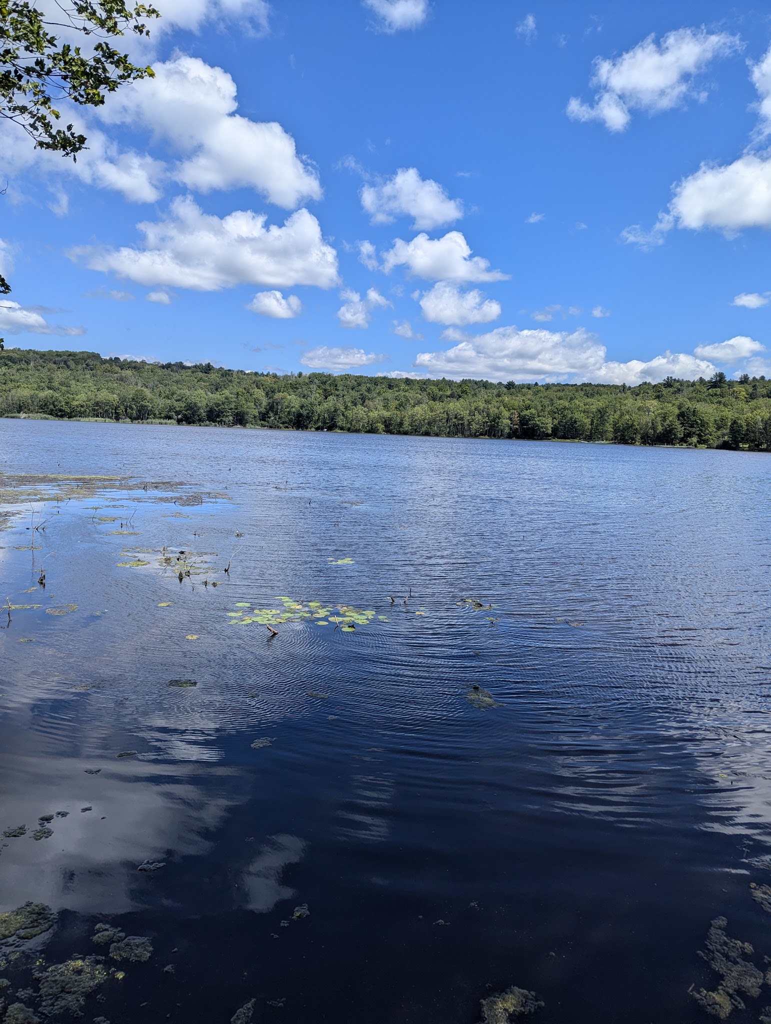 Woodridge O&W Trailhead - Woodridge, NY