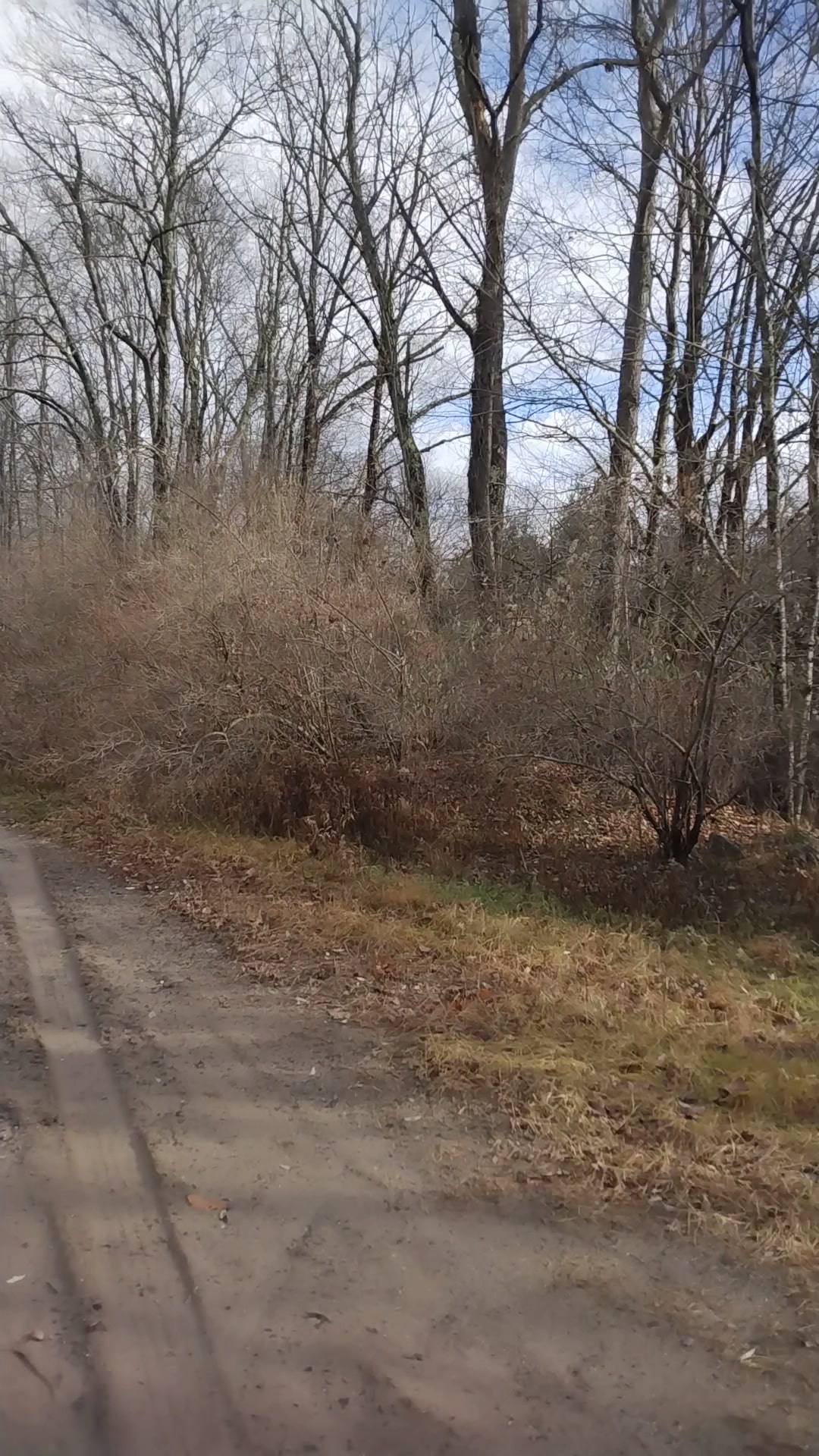 Woodridge O&W Trailhead A - Woodridge, NY
