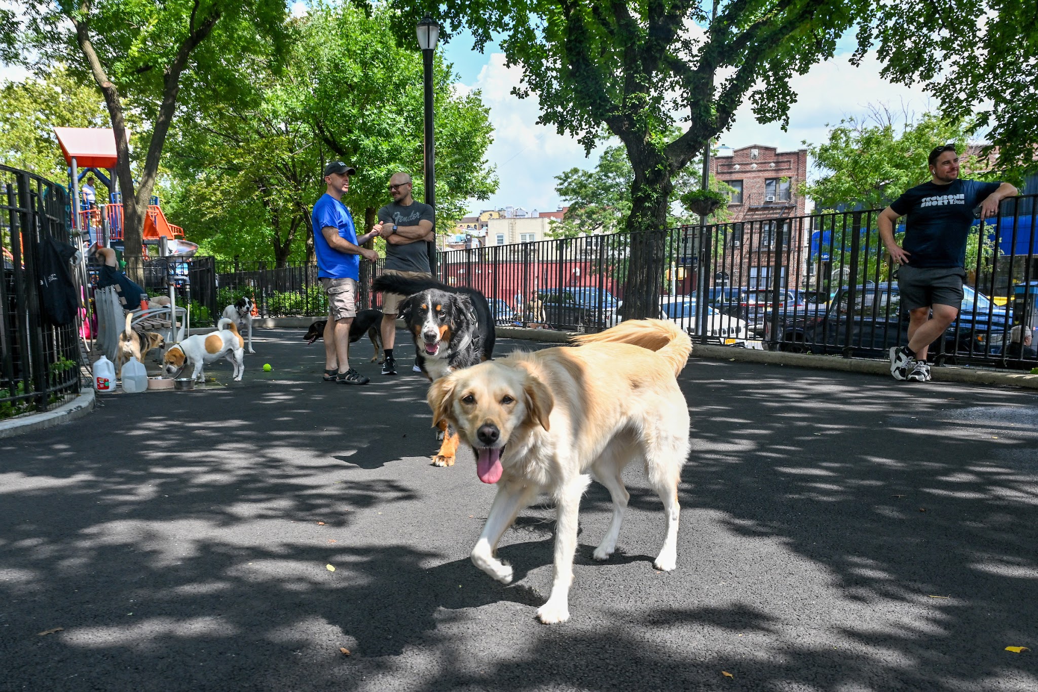 Noonan Park Dog Run - Woodside, NY