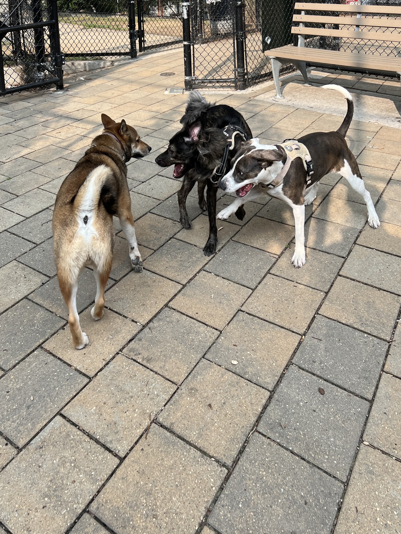 Doughboy Plaza Dog Run - Woodside, NY