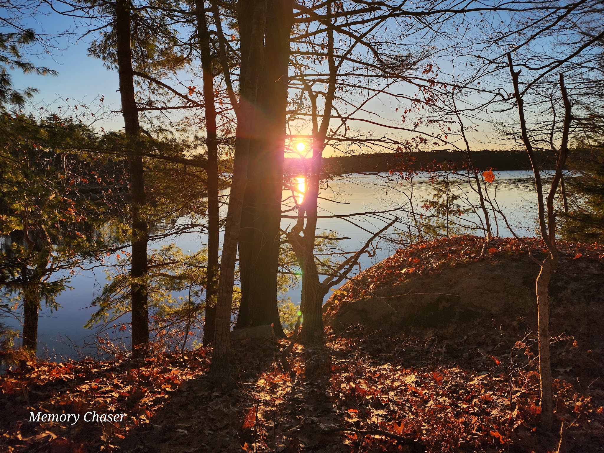 DeWick Farm - Woolwich, ME