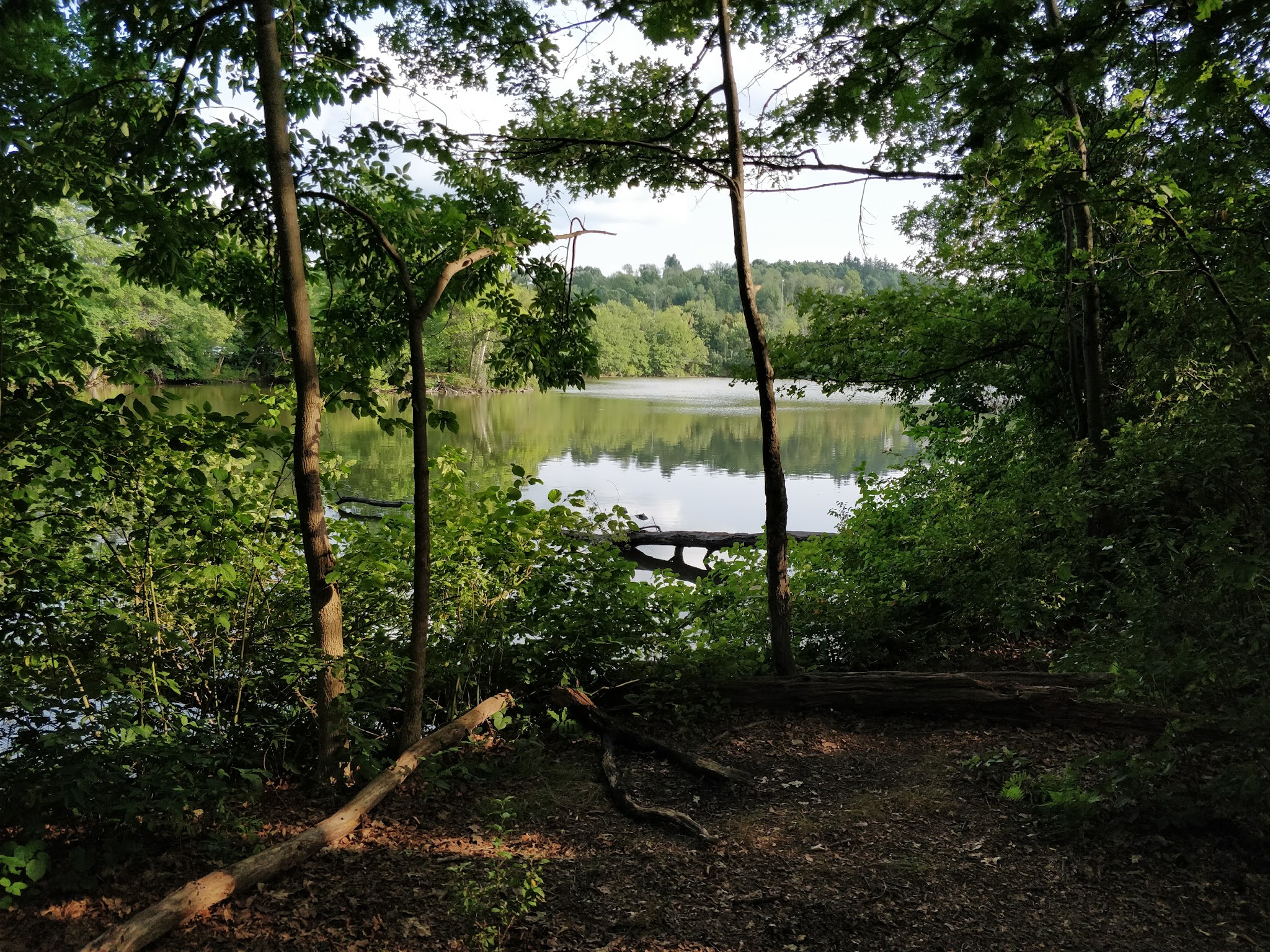 Burncoat Park - Worcester, MA