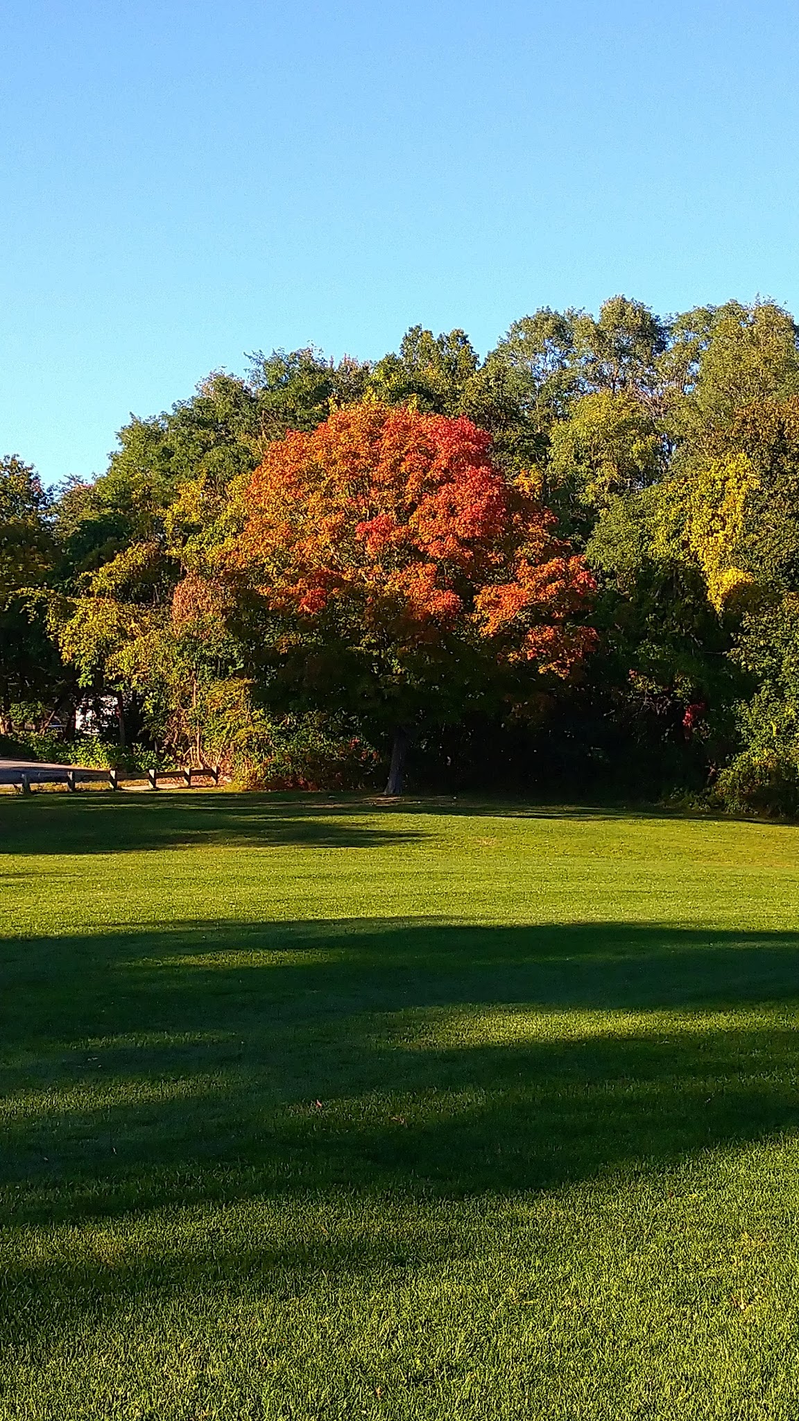 Wetherell Park - Worcester, MA