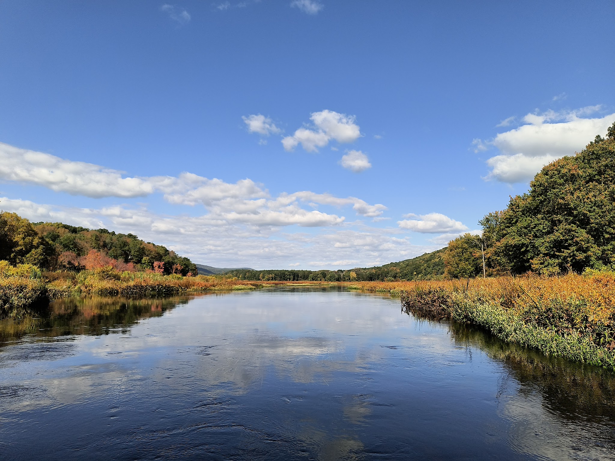 Bashakill Wildlife Management Area - Wurtsboro, NY