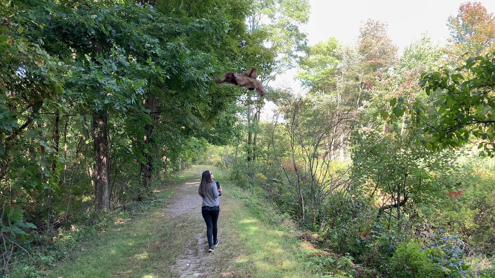 D&H canal - Wurtsboro, NY