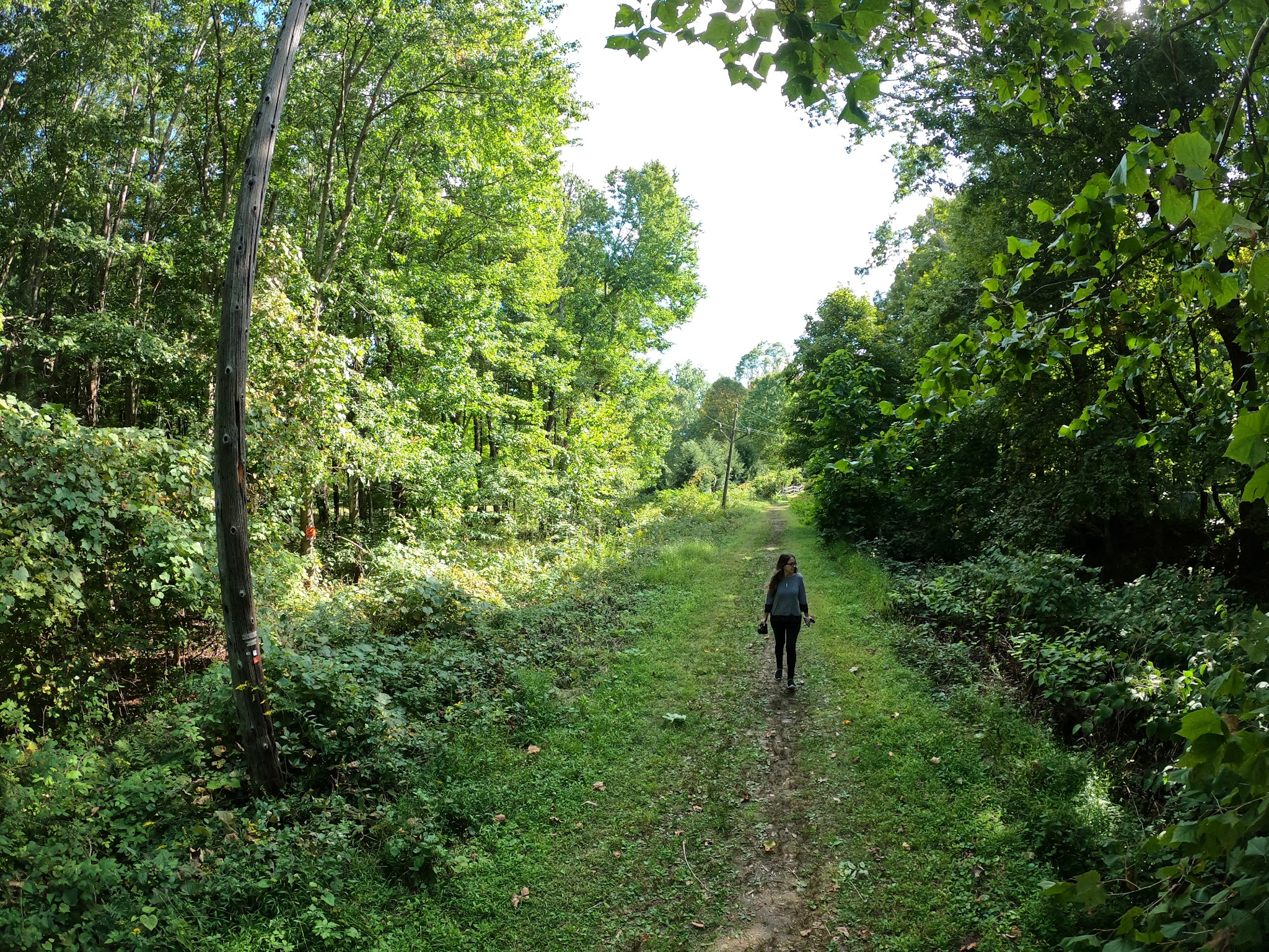 D&H canal - Wurtsboro, NY