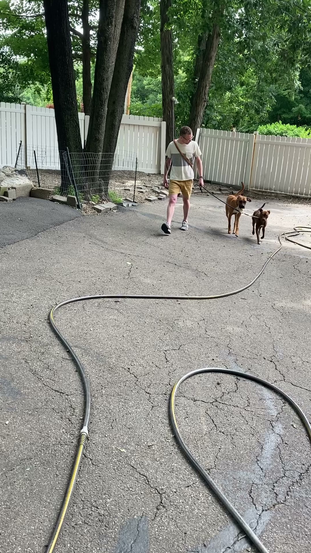 Dog Obedience Group - Boarding, Training, Daycare - Wurtsboro, NY