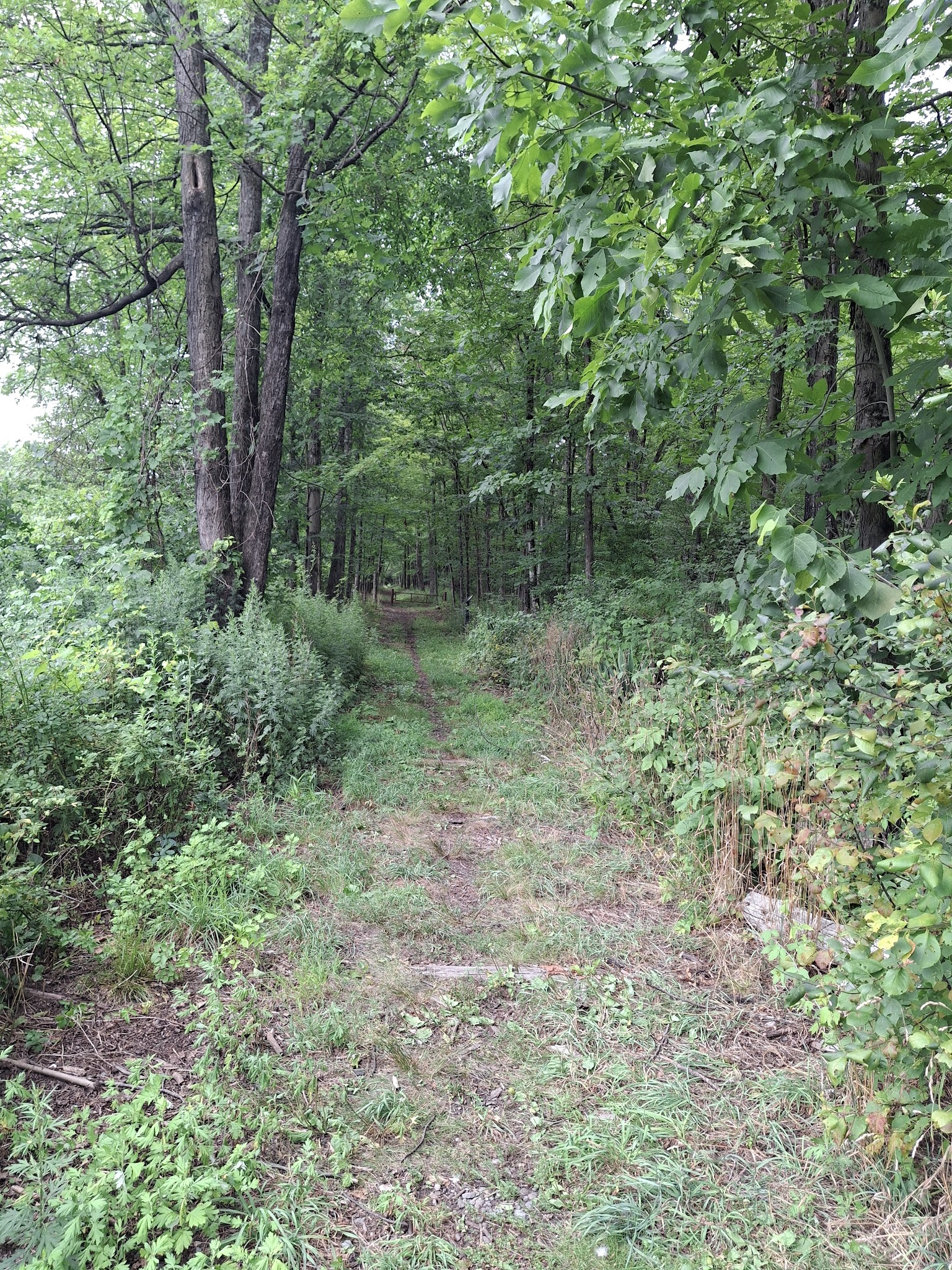 Wurtsboro O&W Trailhead A - Wurtsboro, NY