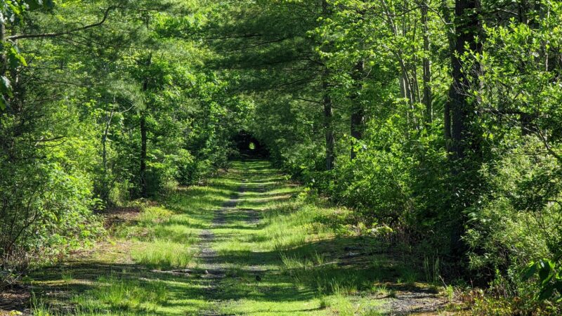 Wurtsboro O&W Trailhead C - Wurtsboro, NY