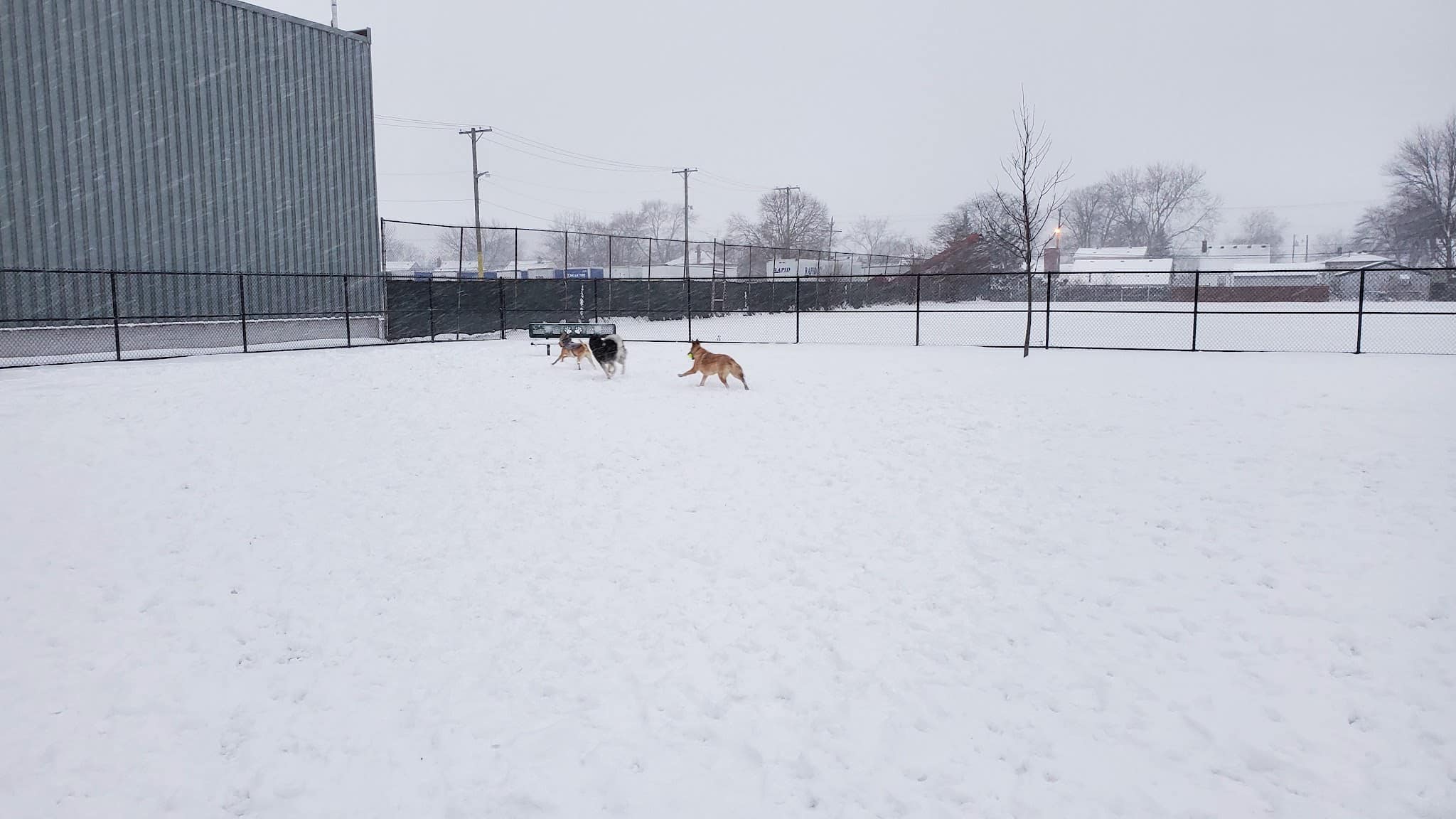 Wyandotte Dog Park - Wyandotte, MI