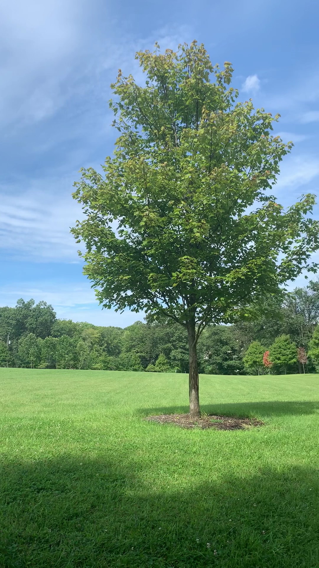Russell Farms Community Park - Wyckoff, NJ