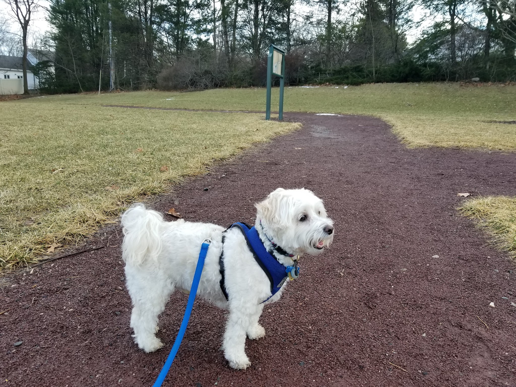 Russell Farms Community Park - Wyckoff, NJ