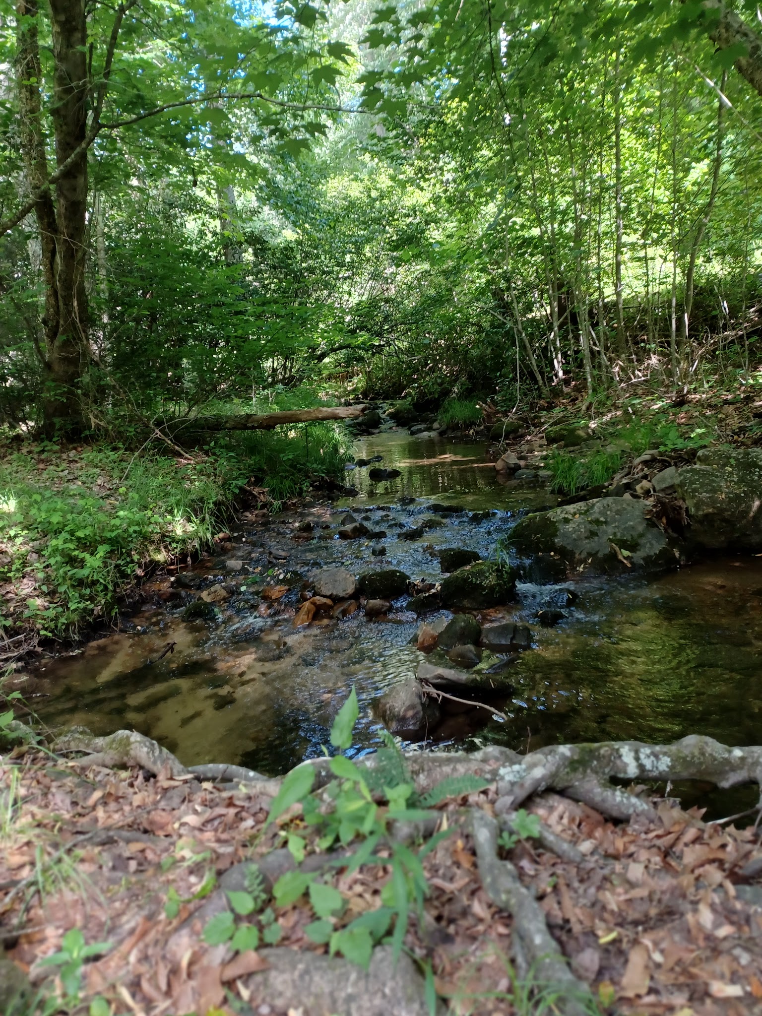Crystal Springs Recreation Area - Wytheville, VA