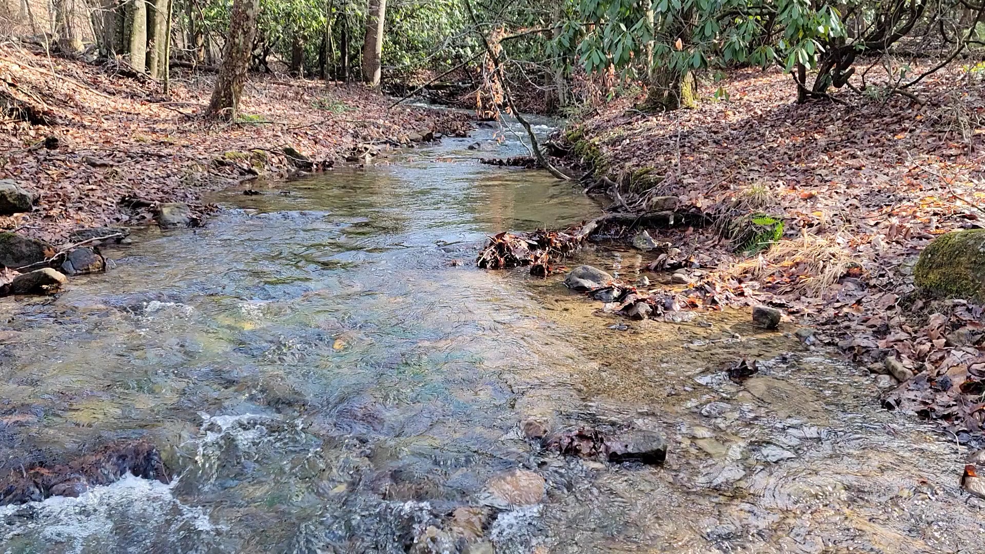 Crystal Springs Recreation Area - Wytheville, VA
