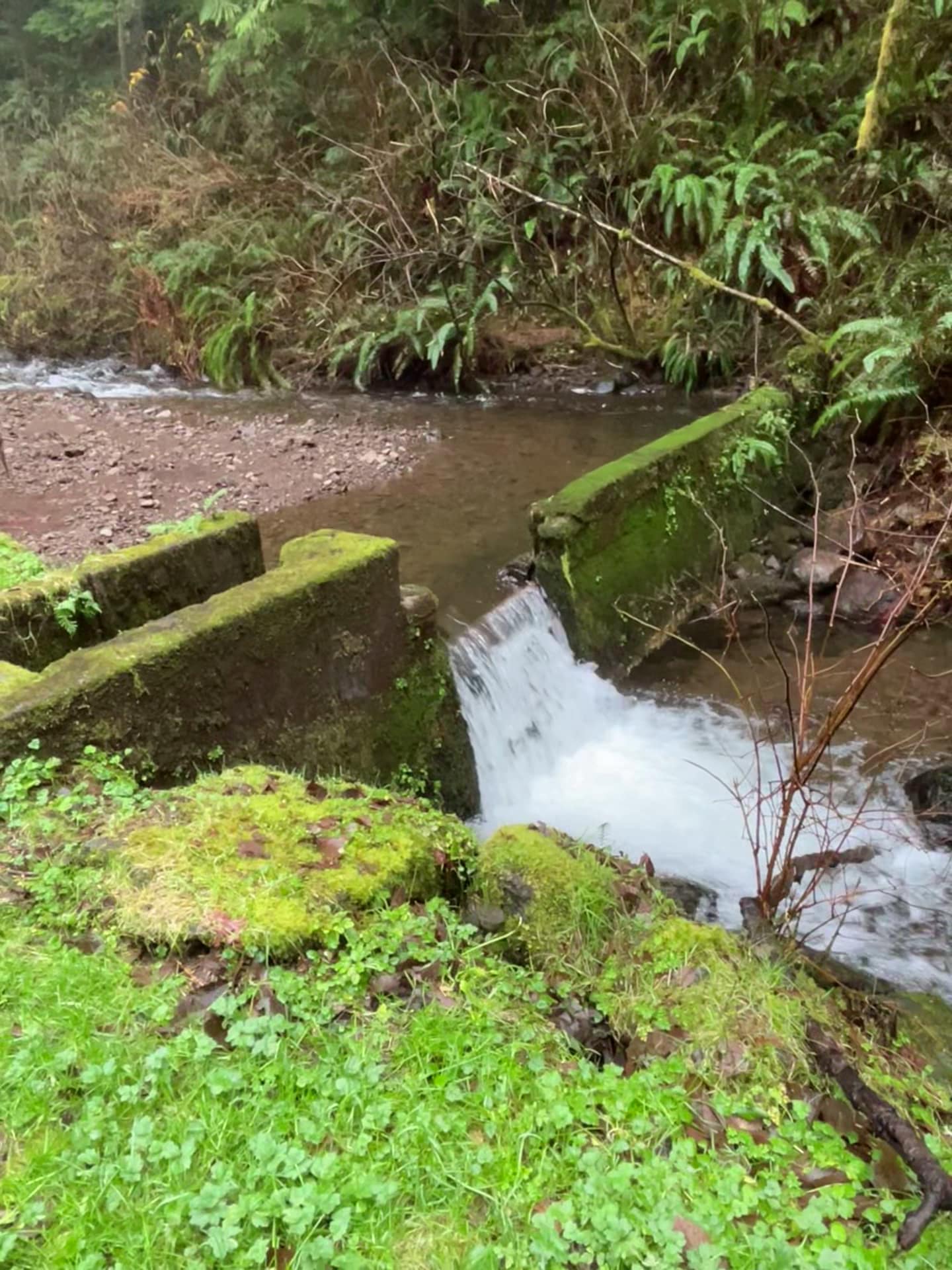 Starr Creek Reservoir - Yachats, OR