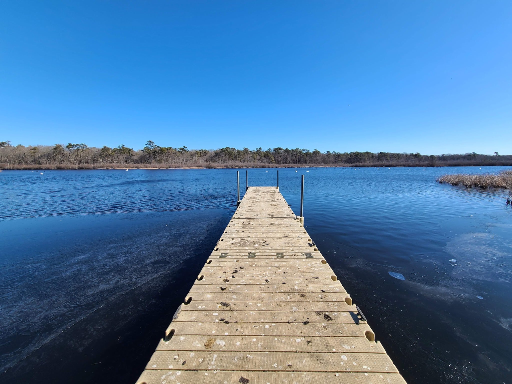 Southaven County Park - Yaphank, NY