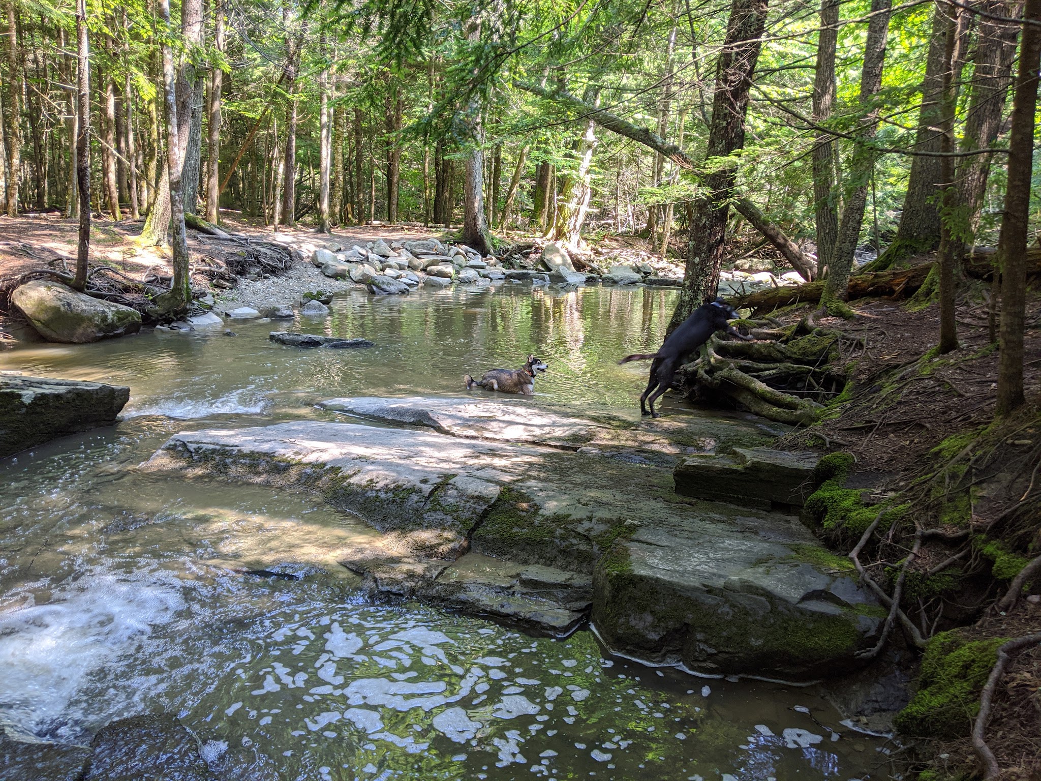 Pratt's Brook Park - Yarmouth, ME