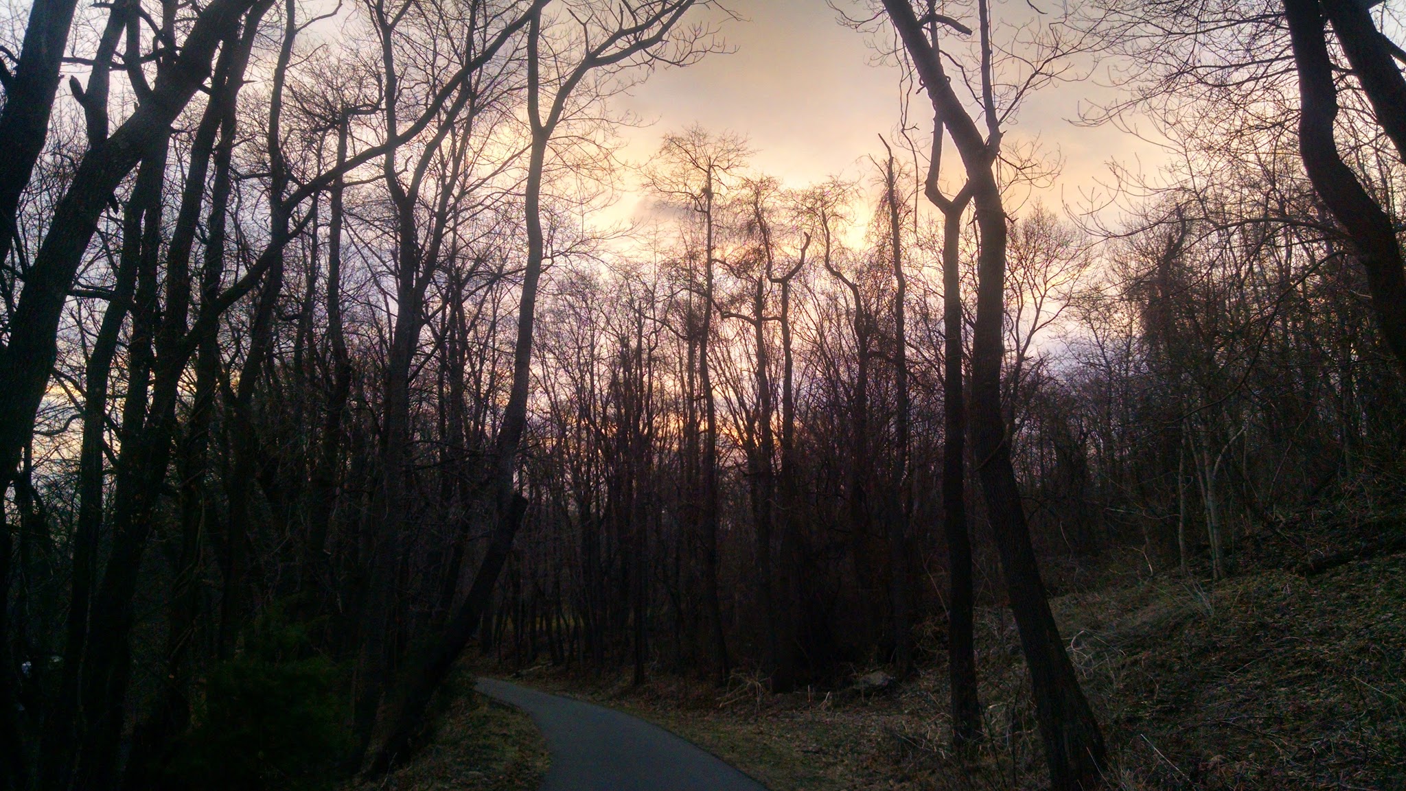 H F Redmond Junior Memorial Park - Yonkers, NY