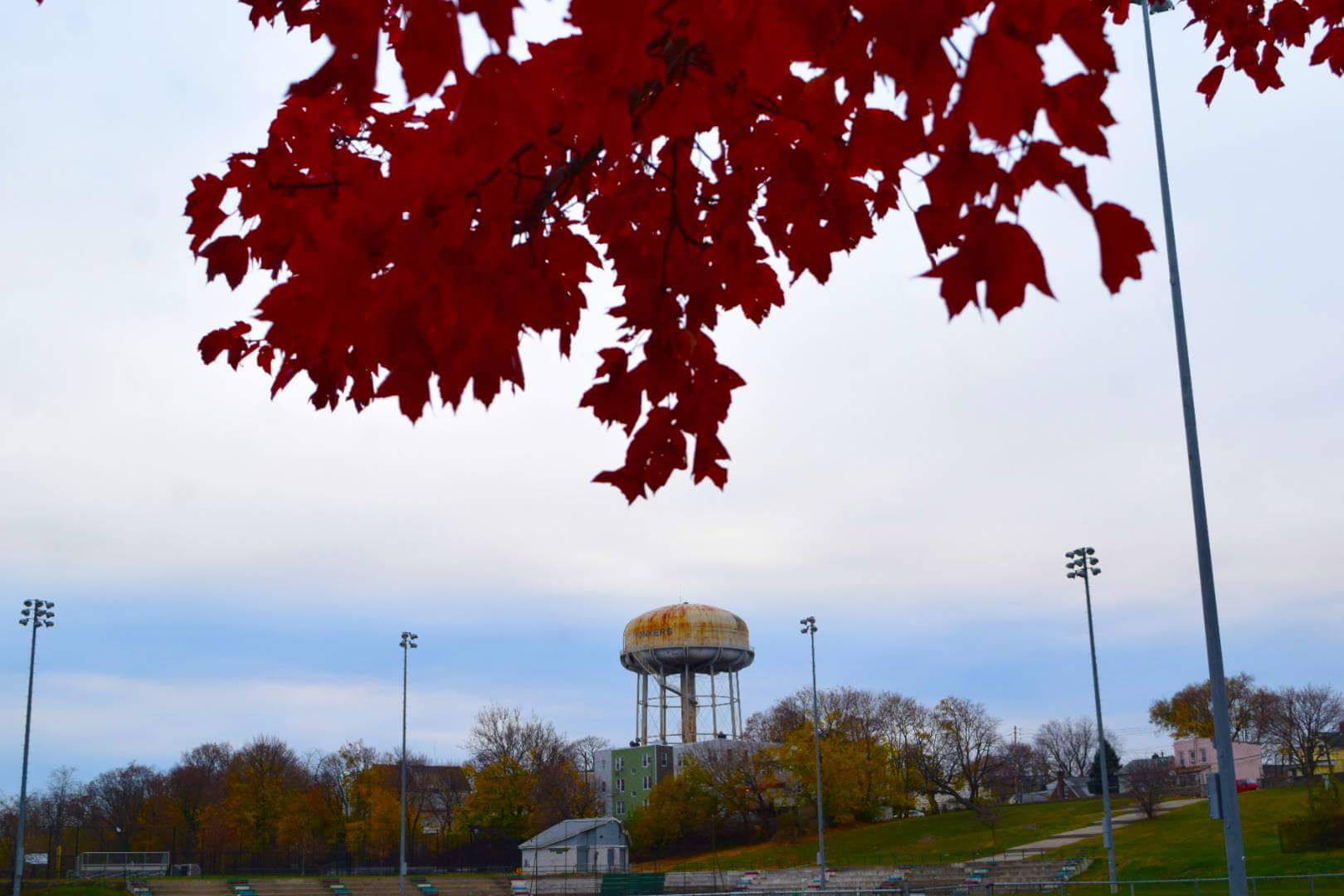 James L Fleming Park - Yonkers, NY