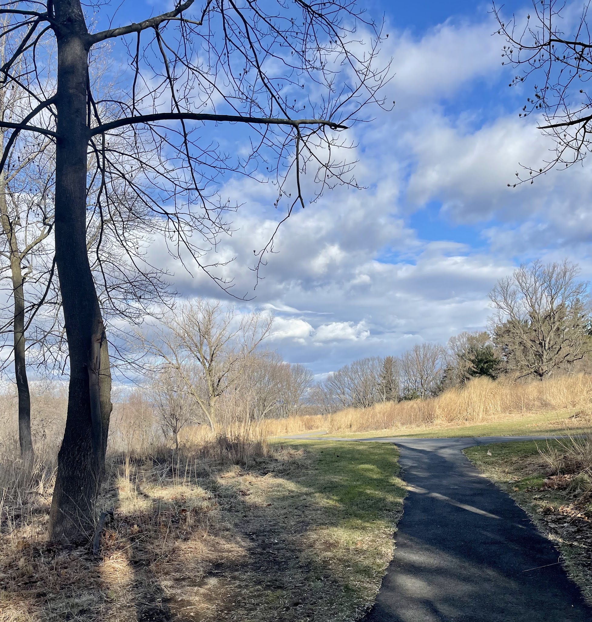 Lenoir Preserve - Yonkers, NY