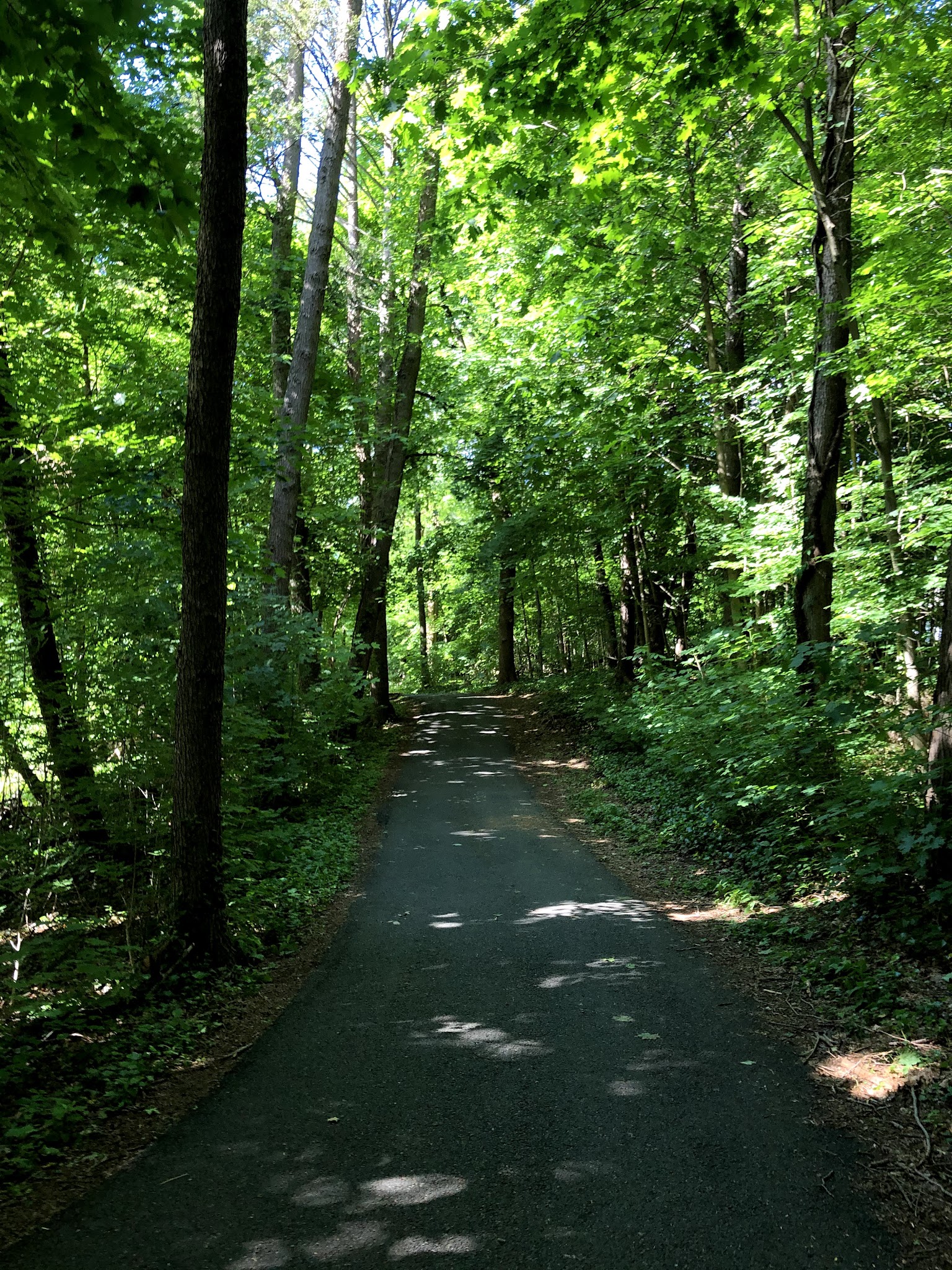 Malcolm Wilson County Park - Yonkers, NY