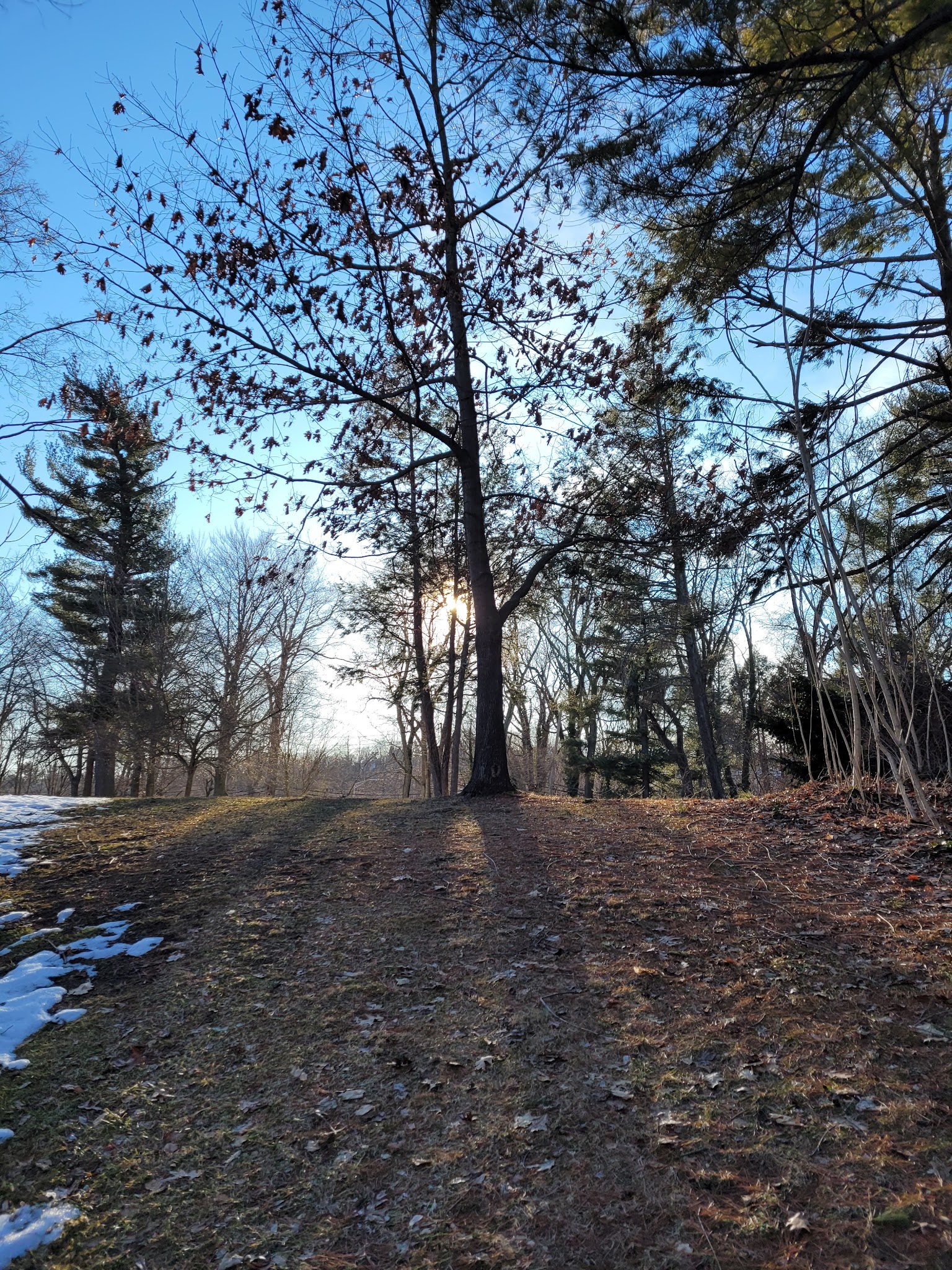 Malcolm Wilson County Park - Yonkers, NY