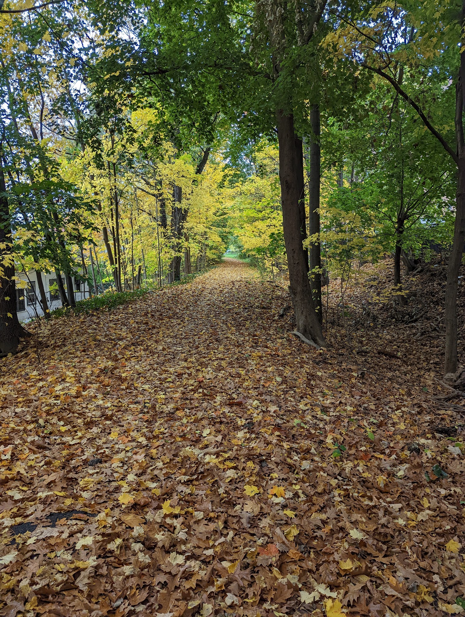 Old Croton Aqueduct Trailhead - Yonkers, NY