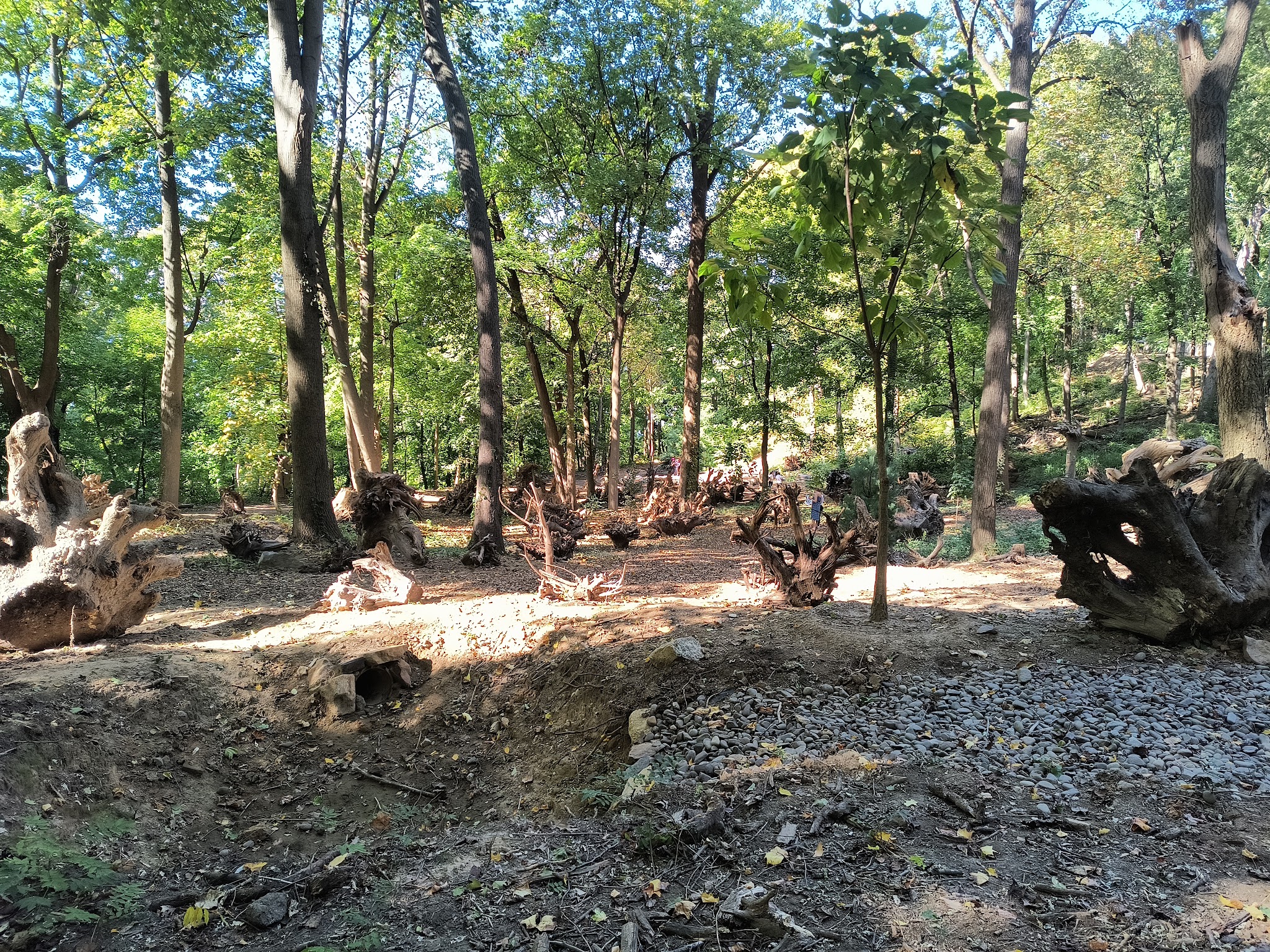 Otis Park - Yonkers, NY