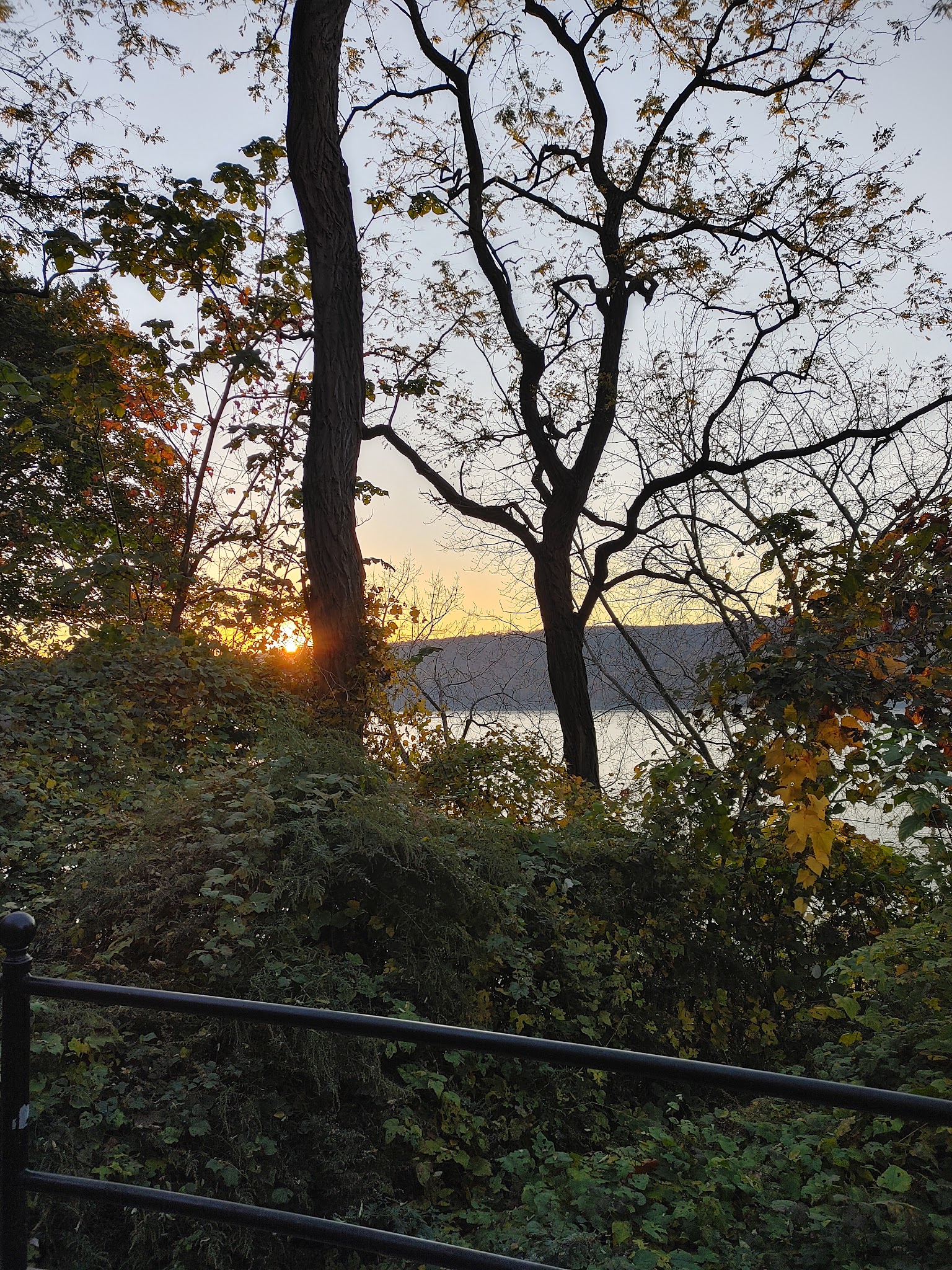 Otis Park - Yonkers, NY