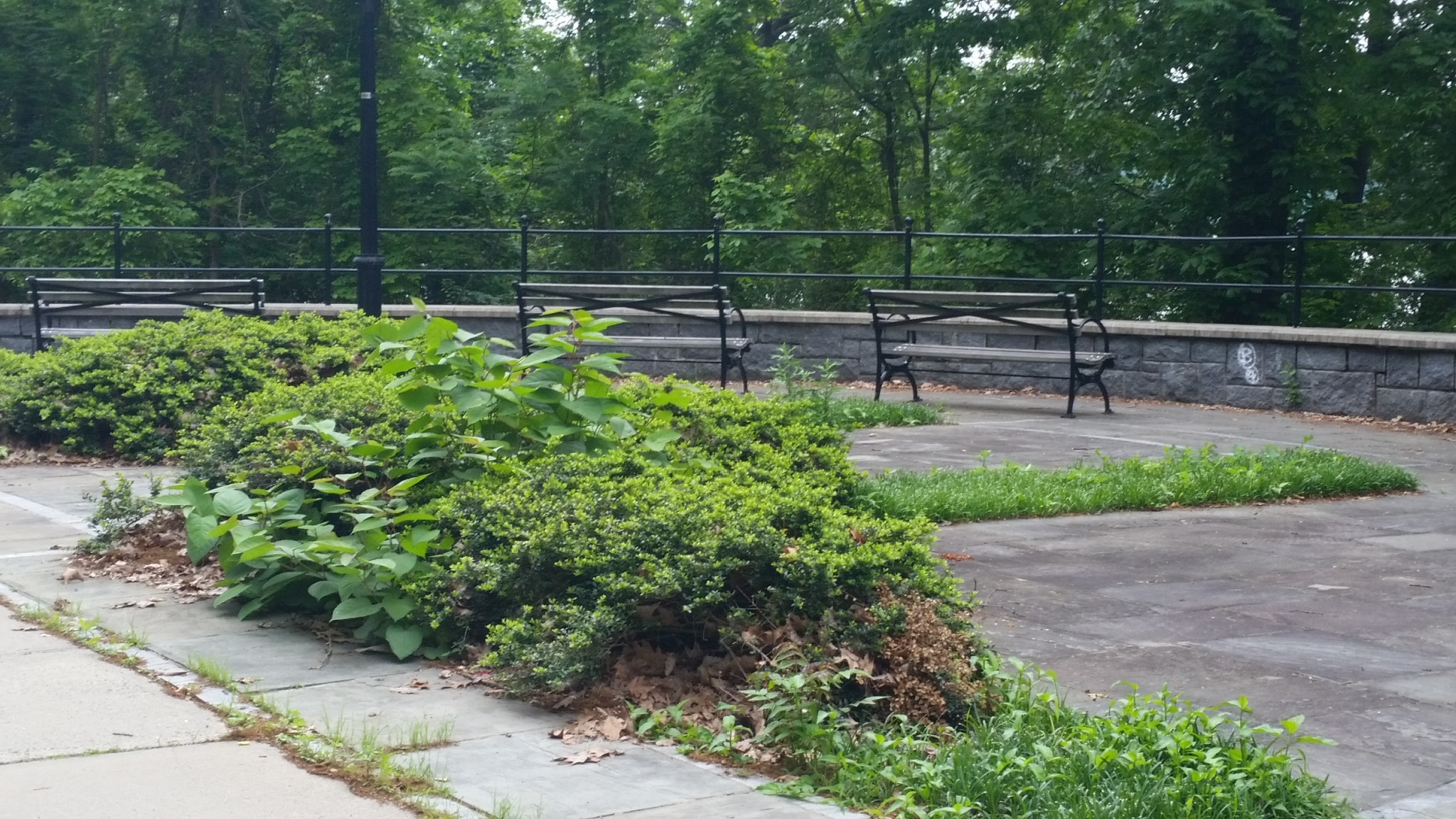 Otis Park - Yonkers, NY