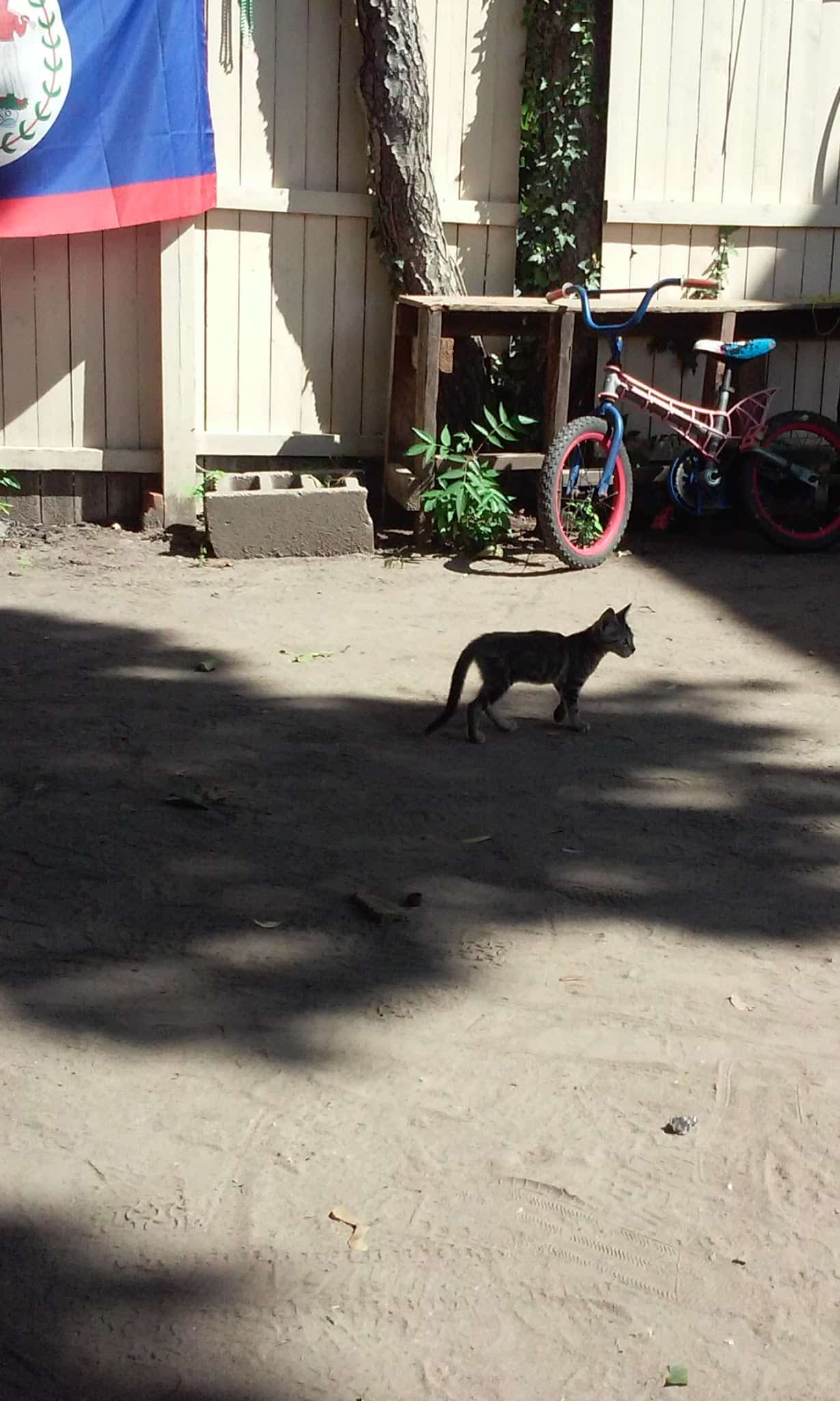 Ravine Park - Yonkers, NY