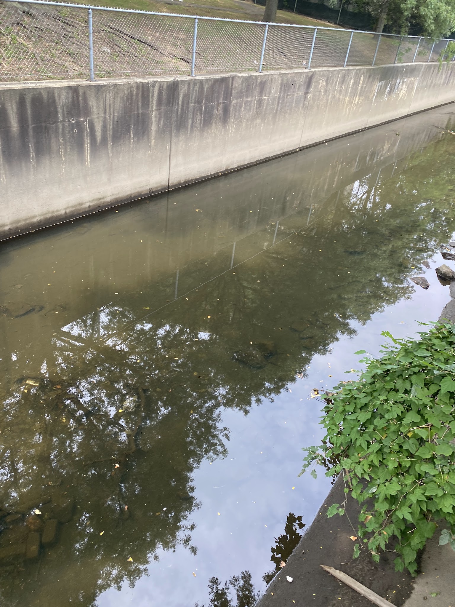 Stefanik Park - Yonkers, NY