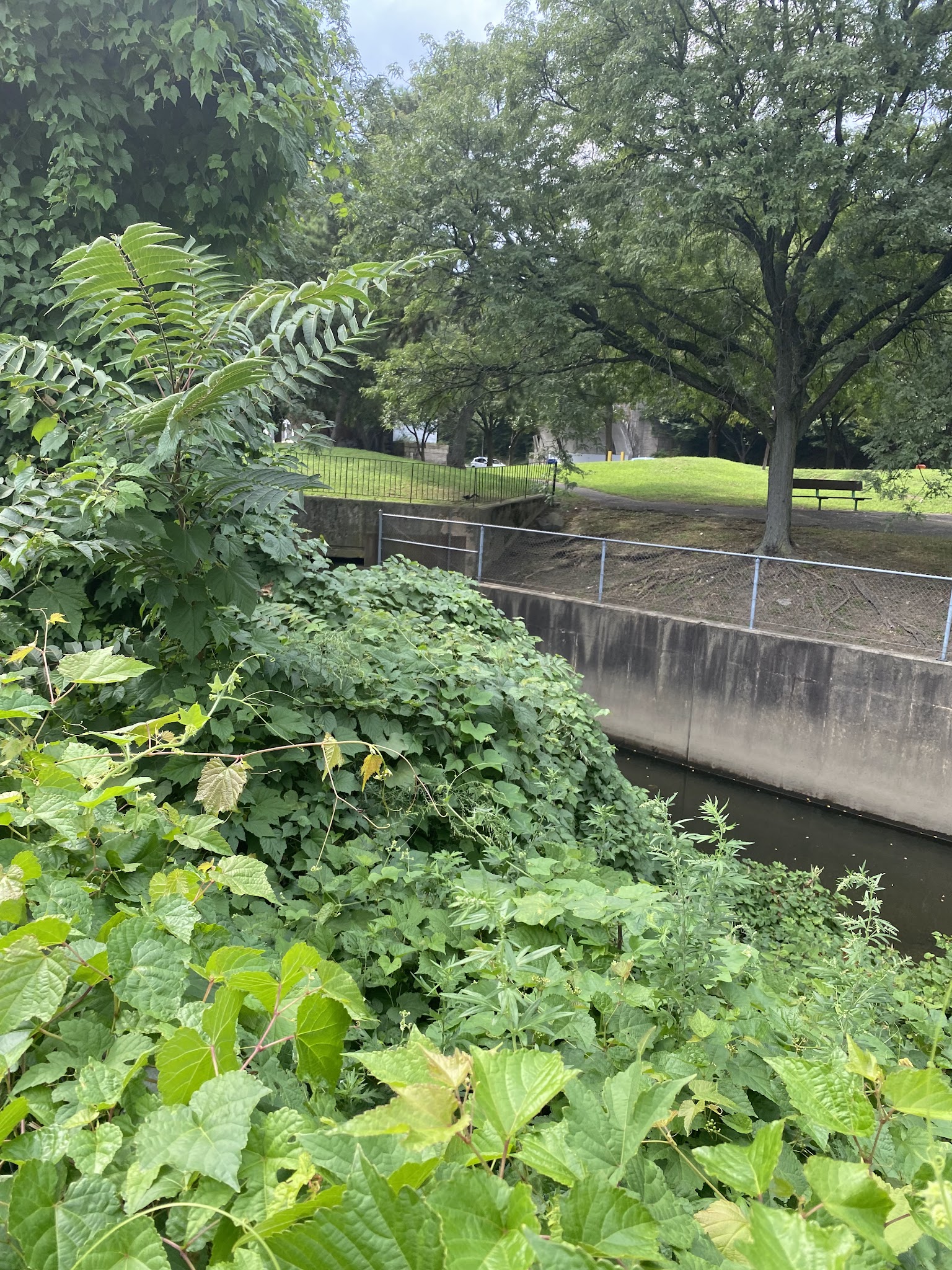 Stefanik Park - Yonkers, NY